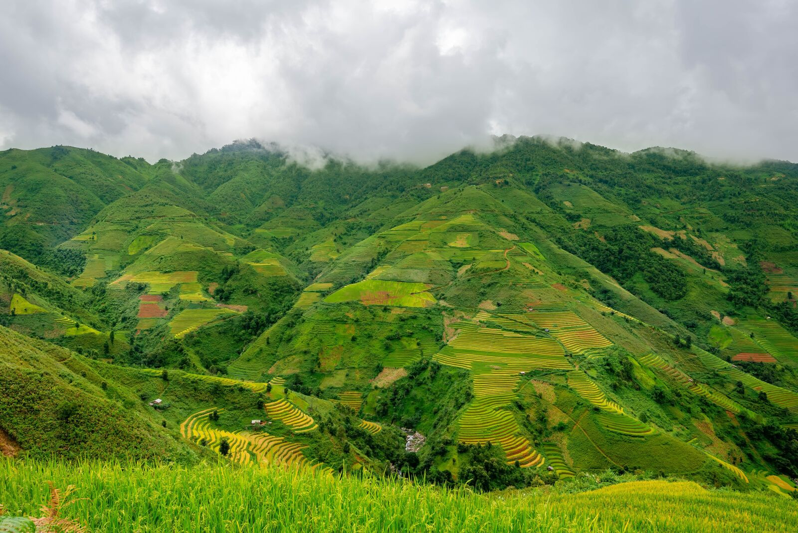Nikon D750 sample photo. Terraces, rice terraces, rice photography
