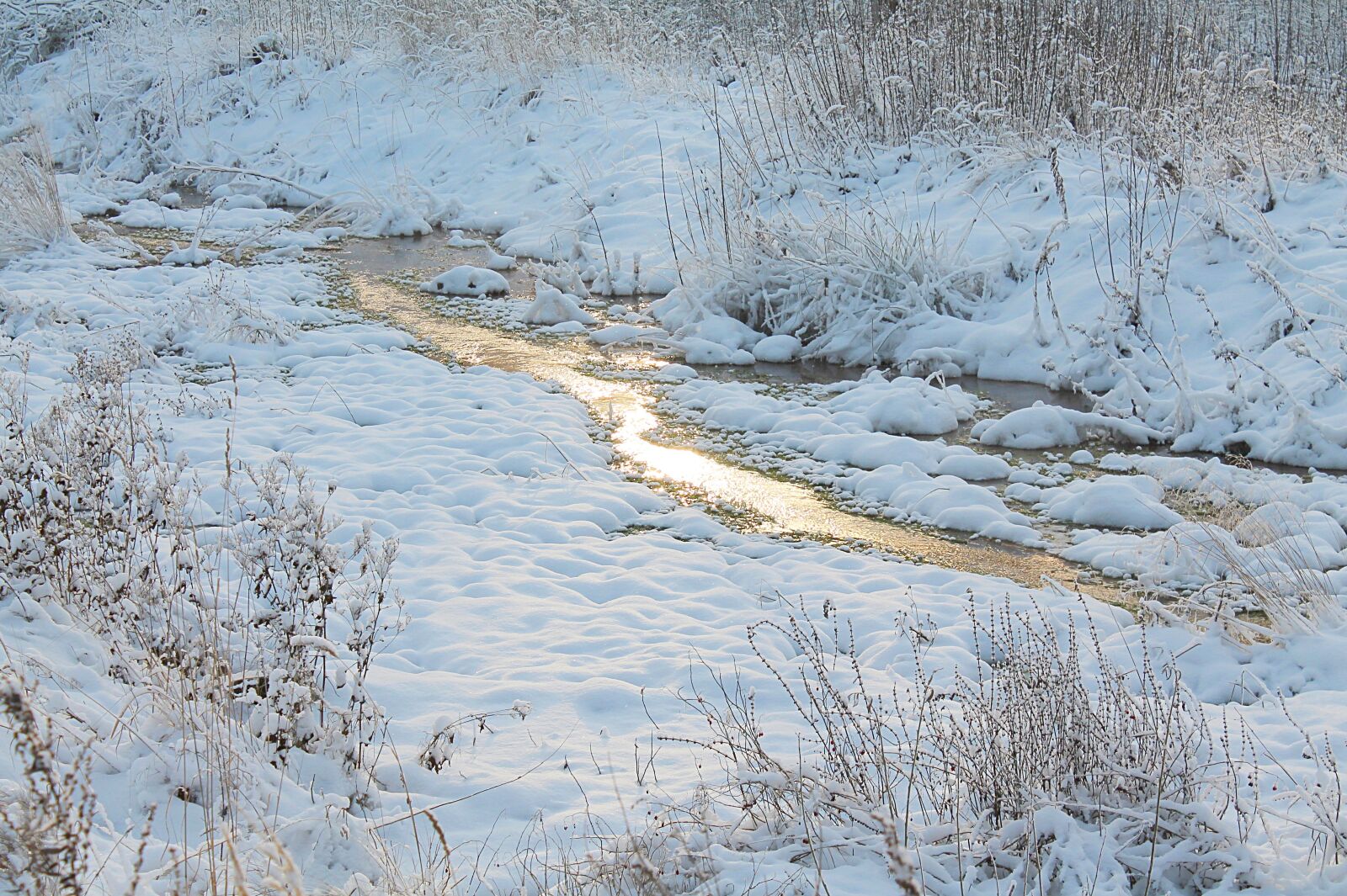 Canon EOS 1100D (EOS Rebel T3 / EOS Kiss X50) sample photo. Winter, thaw, winter landscape photography