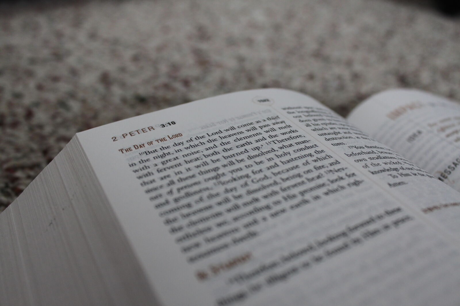 Canon EF-S 18-55mm F3.5-5.6 IS sample photo. Bible, book, book, pages photography