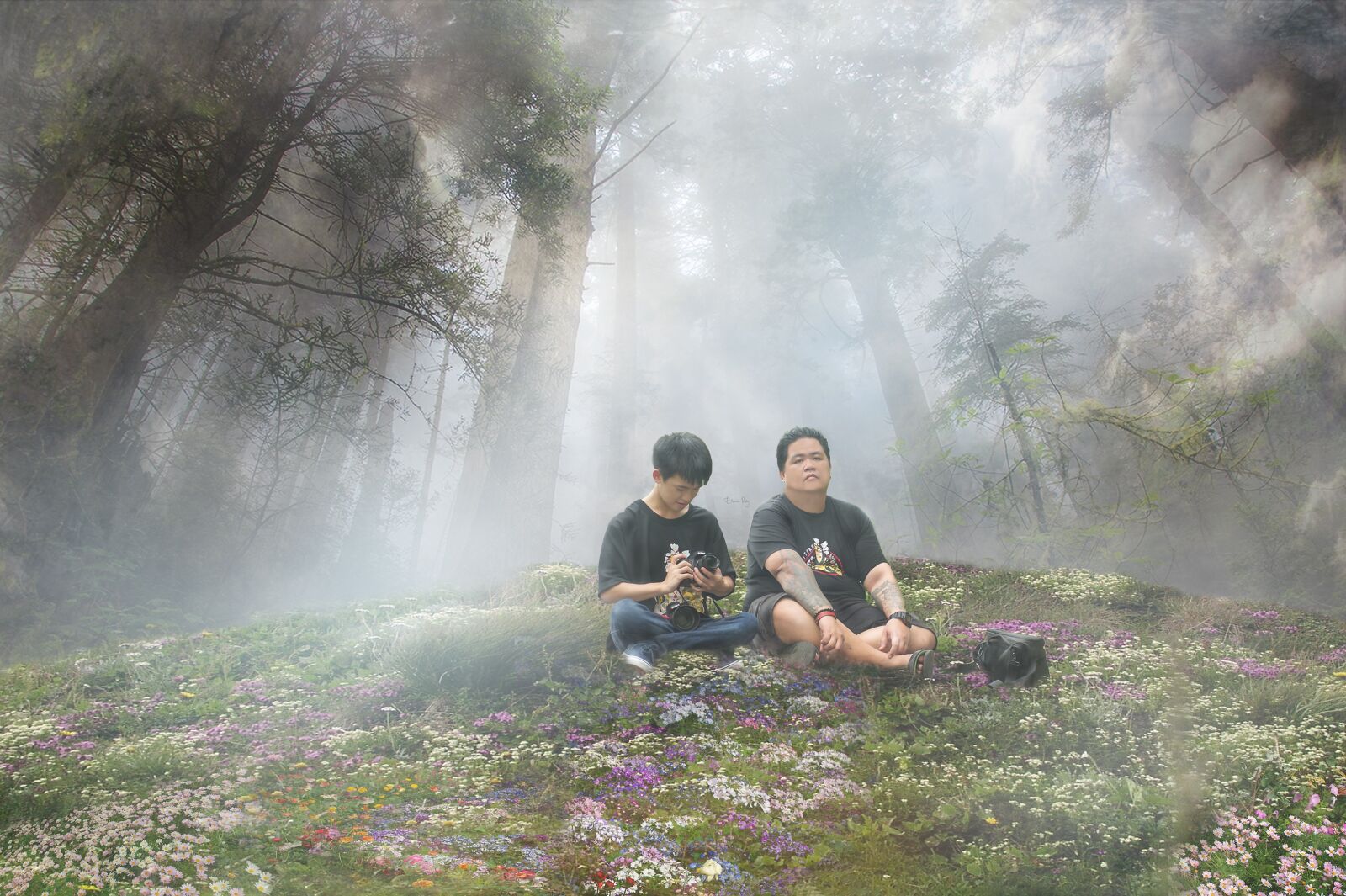 Nikon D3S sample photo. Visual, brothers, manipulation photography