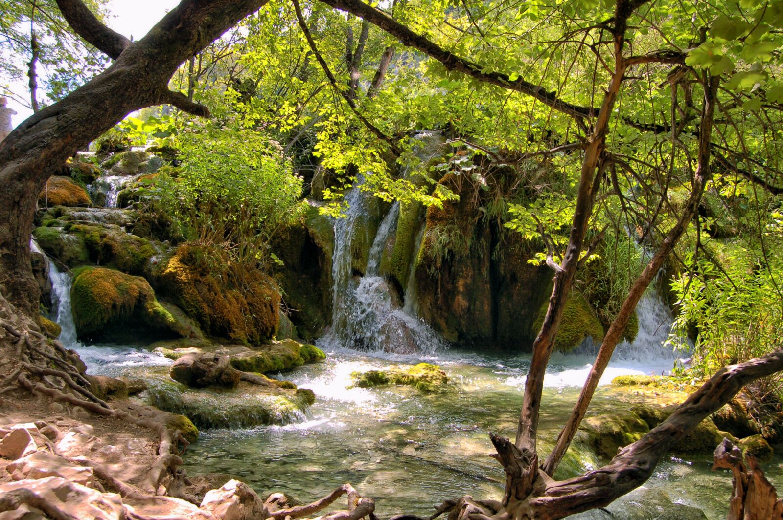 Nikon D50 sample photo. Croatia, plitvice, national park photography