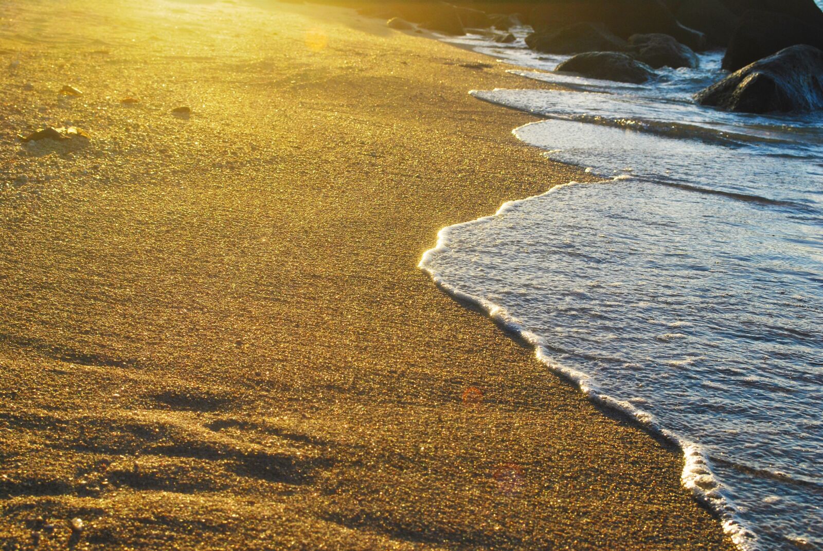 Nikon D60 sample photo. Seashore, beach, water photography