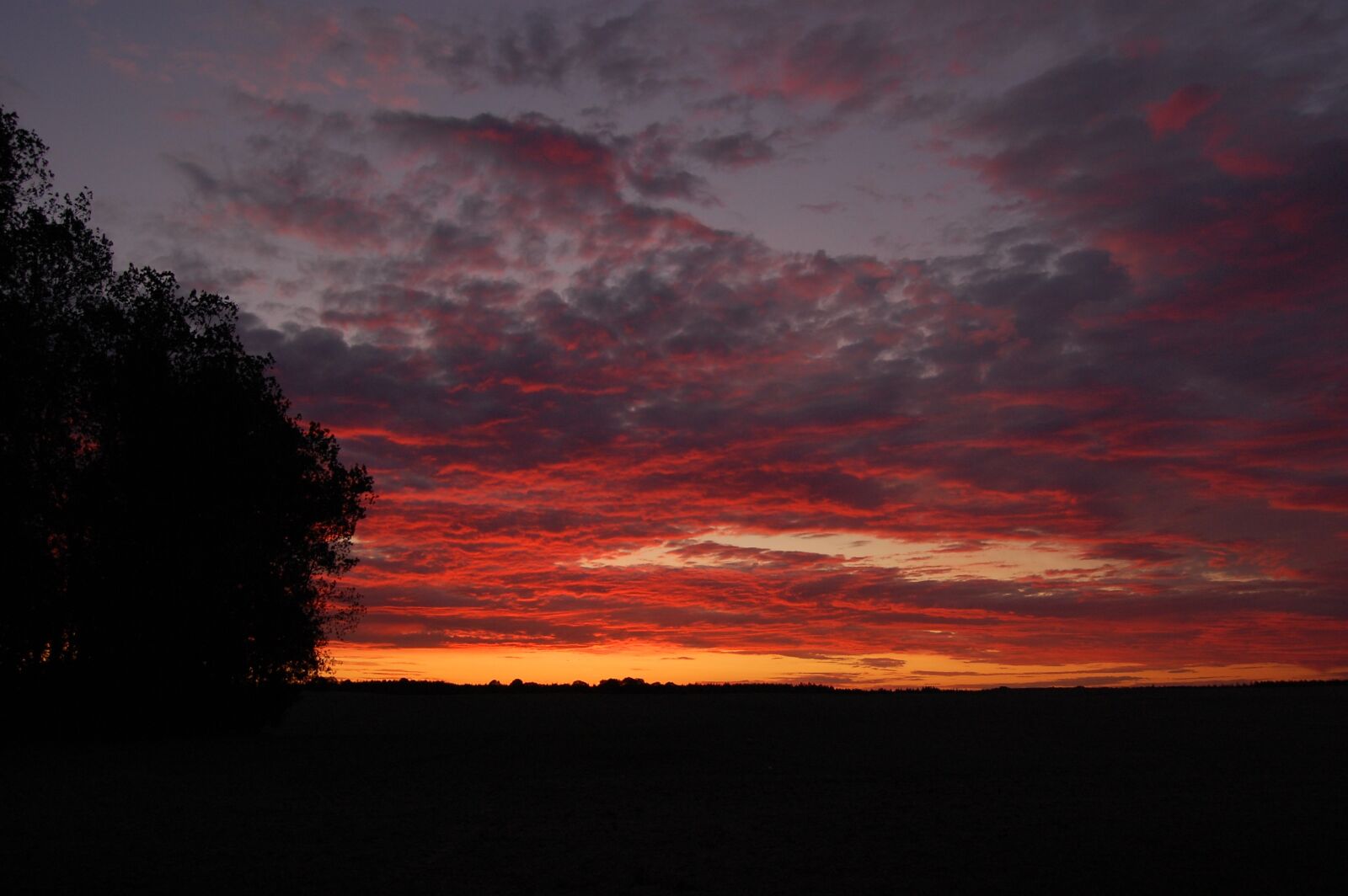 Nikon D40 sample photo. Sunset, dawn, dusk photography