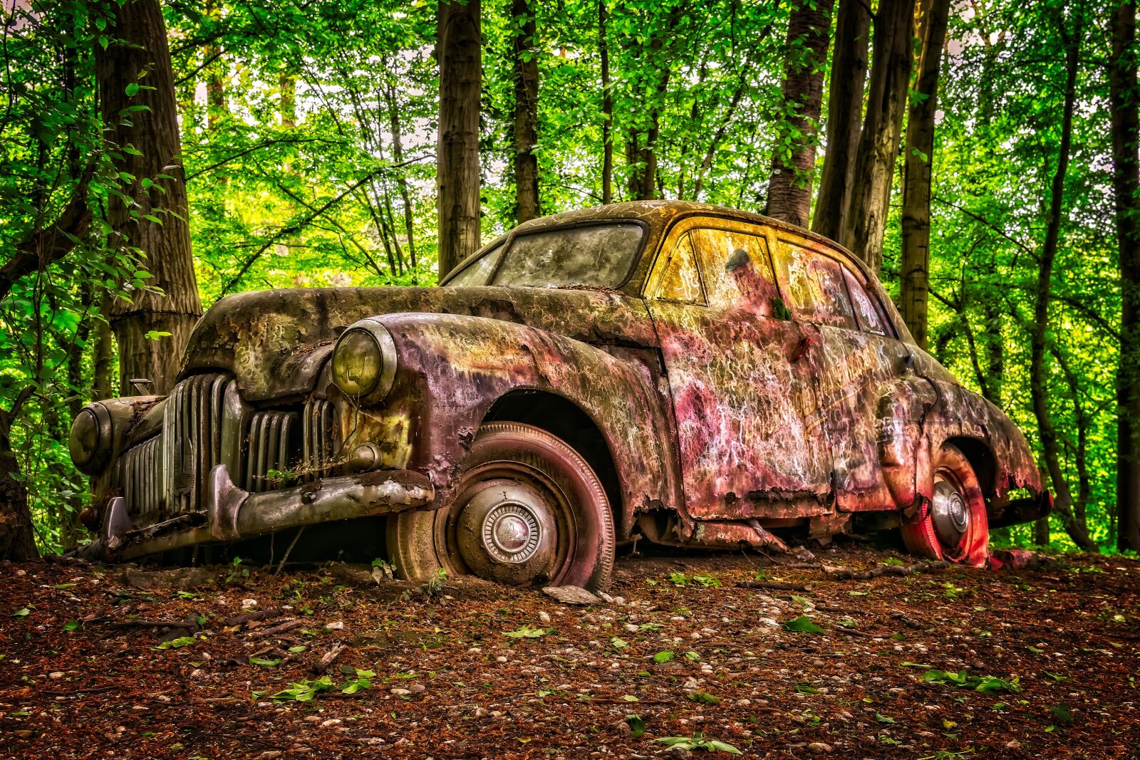 Nikon D3300 sample photo. Oldtimer, american, american car photography