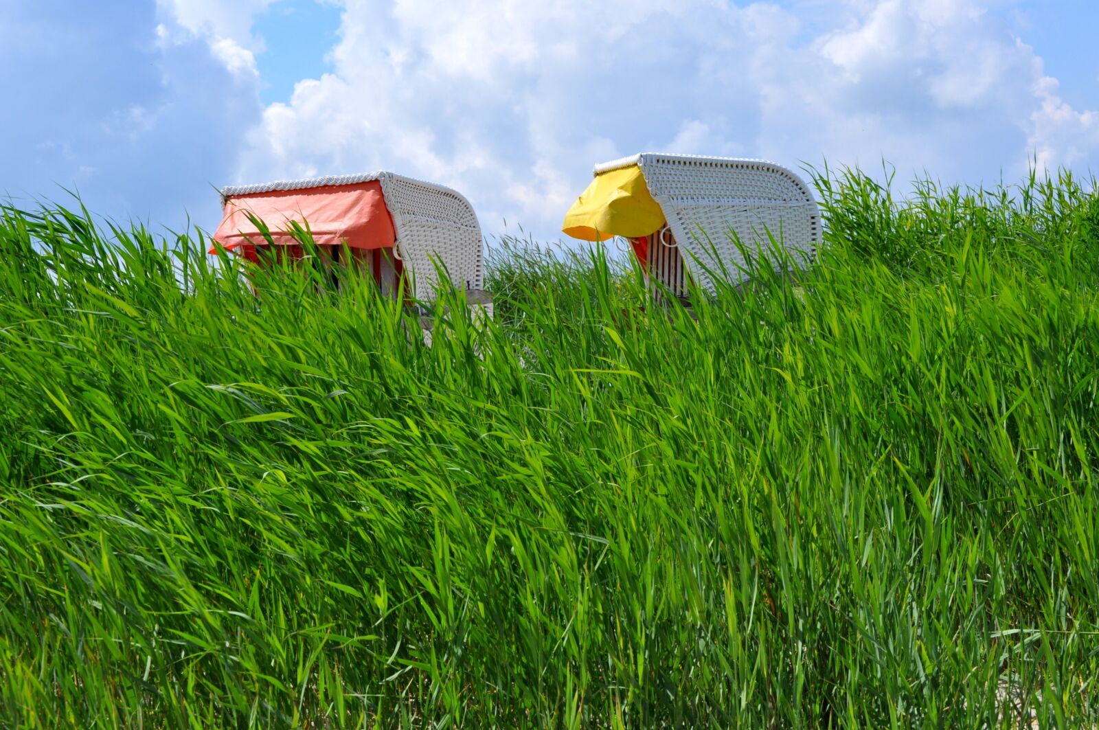 Nikon D5000 sample photo. Beach, dune, grasses photography