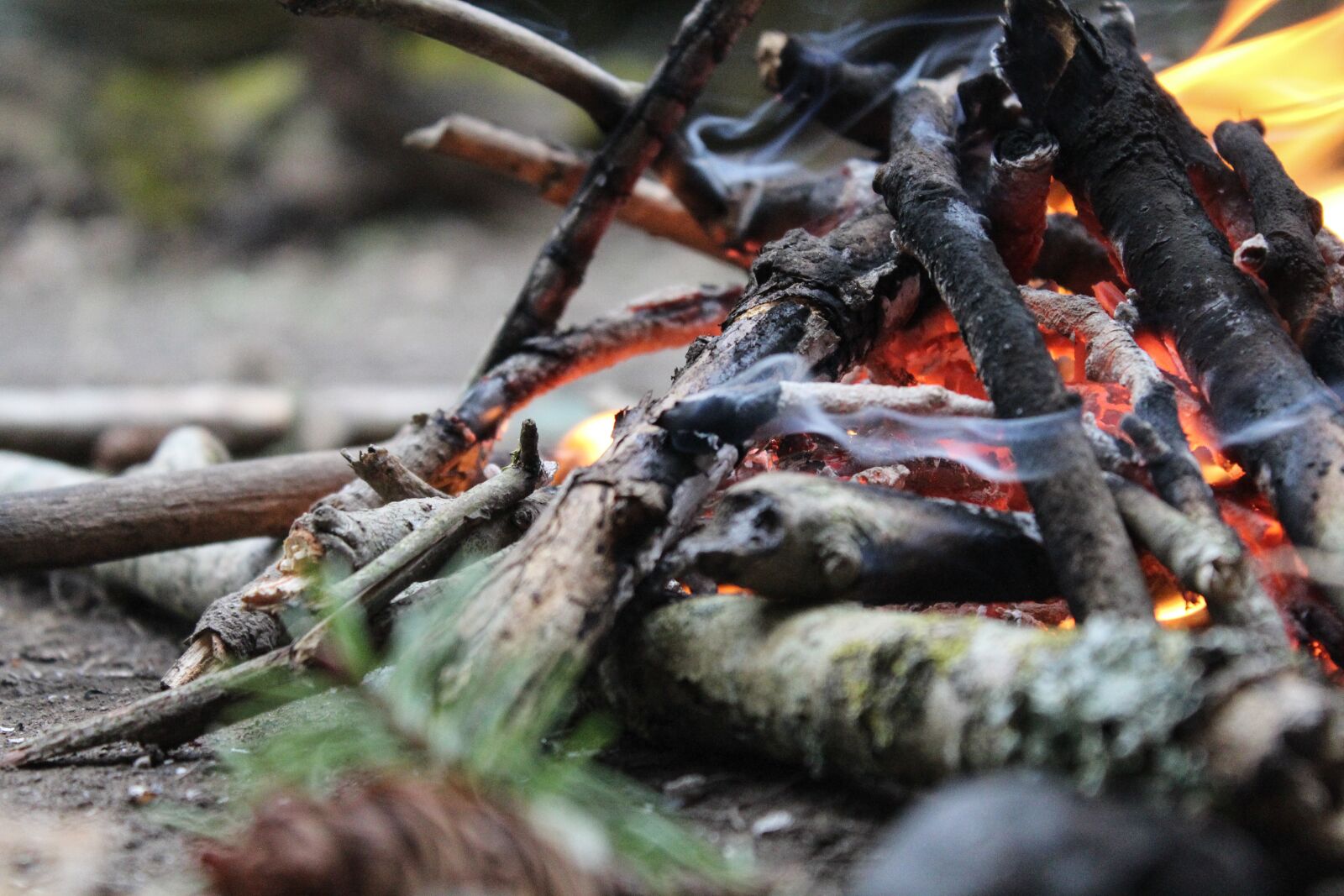 Canon EOS 1200D (EOS Rebel T5 / EOS Kiss X70 / EOS Hi) sample photo. Campire, fire, summer photography