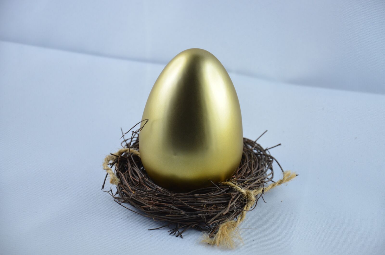 Nikon D7000 sample photo. Egg, gold, nest photography