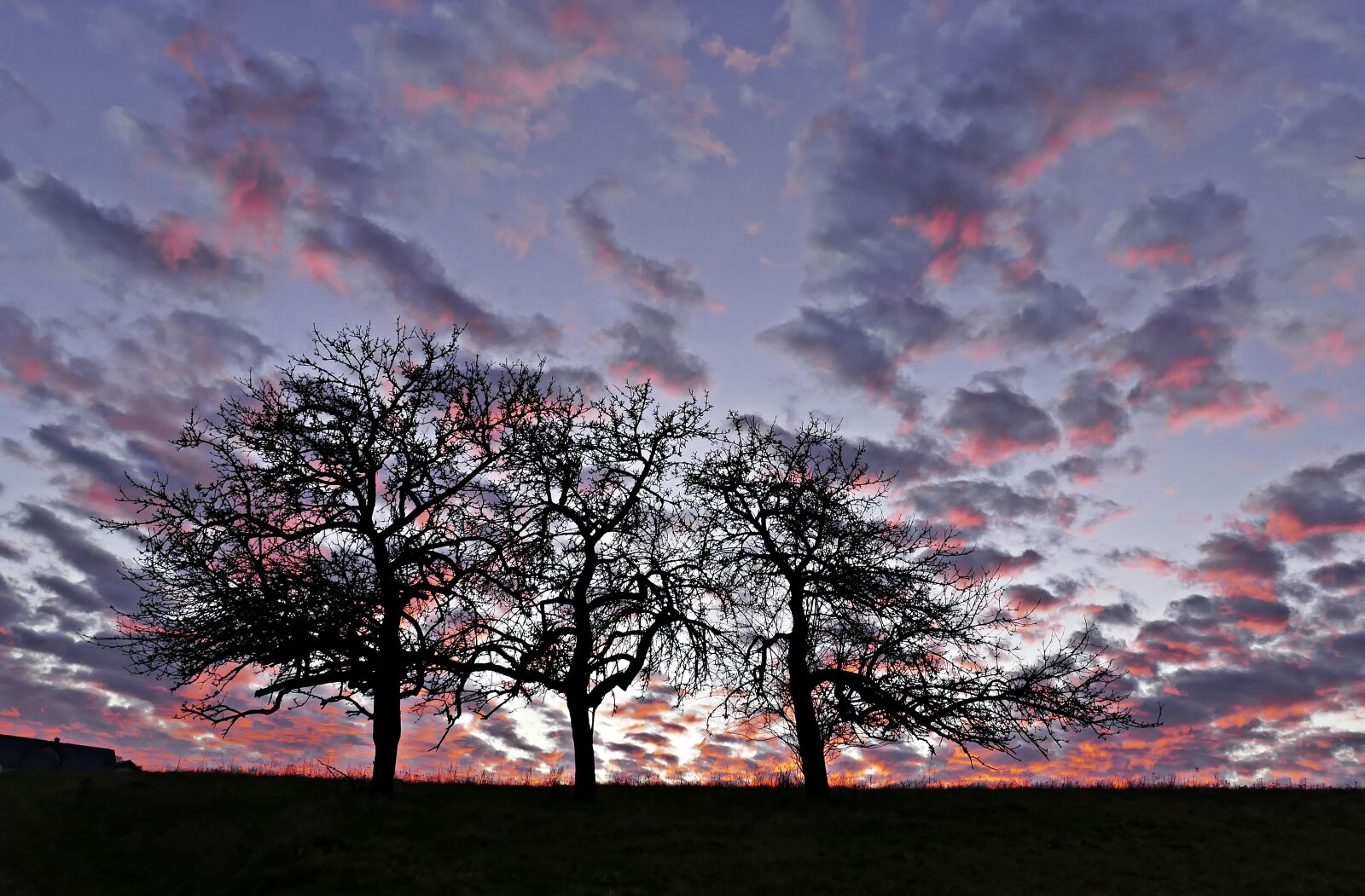 Panasonic Lumix DMC-FZ1000 sample photo. Trees, clouds, sky photography