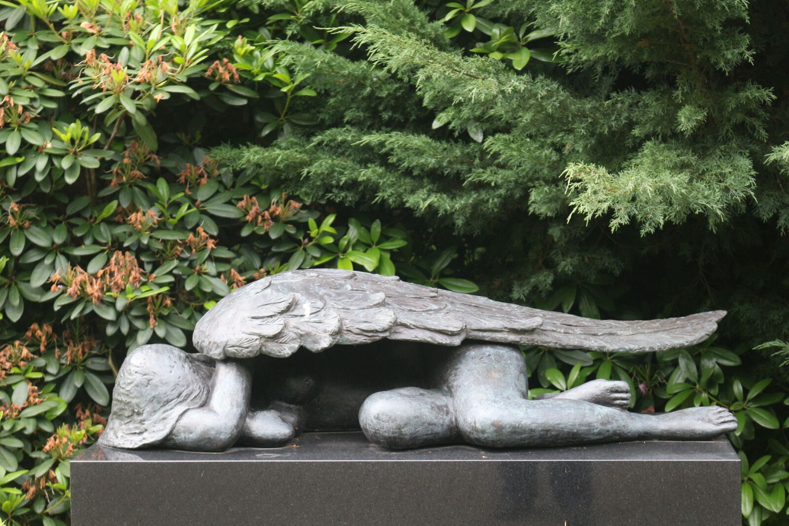 Canon EOS 700D (EOS Rebel T5i / EOS Kiss X7i) sample photo. Nature, wood, tree photography