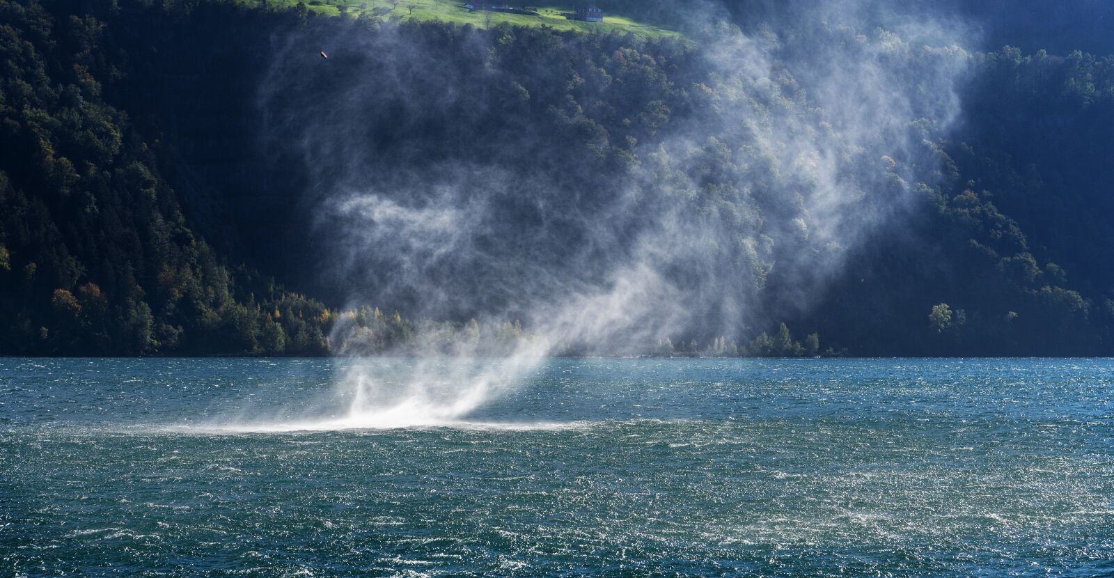 Nikon D750 sample photo. Forward, water, wind photography
