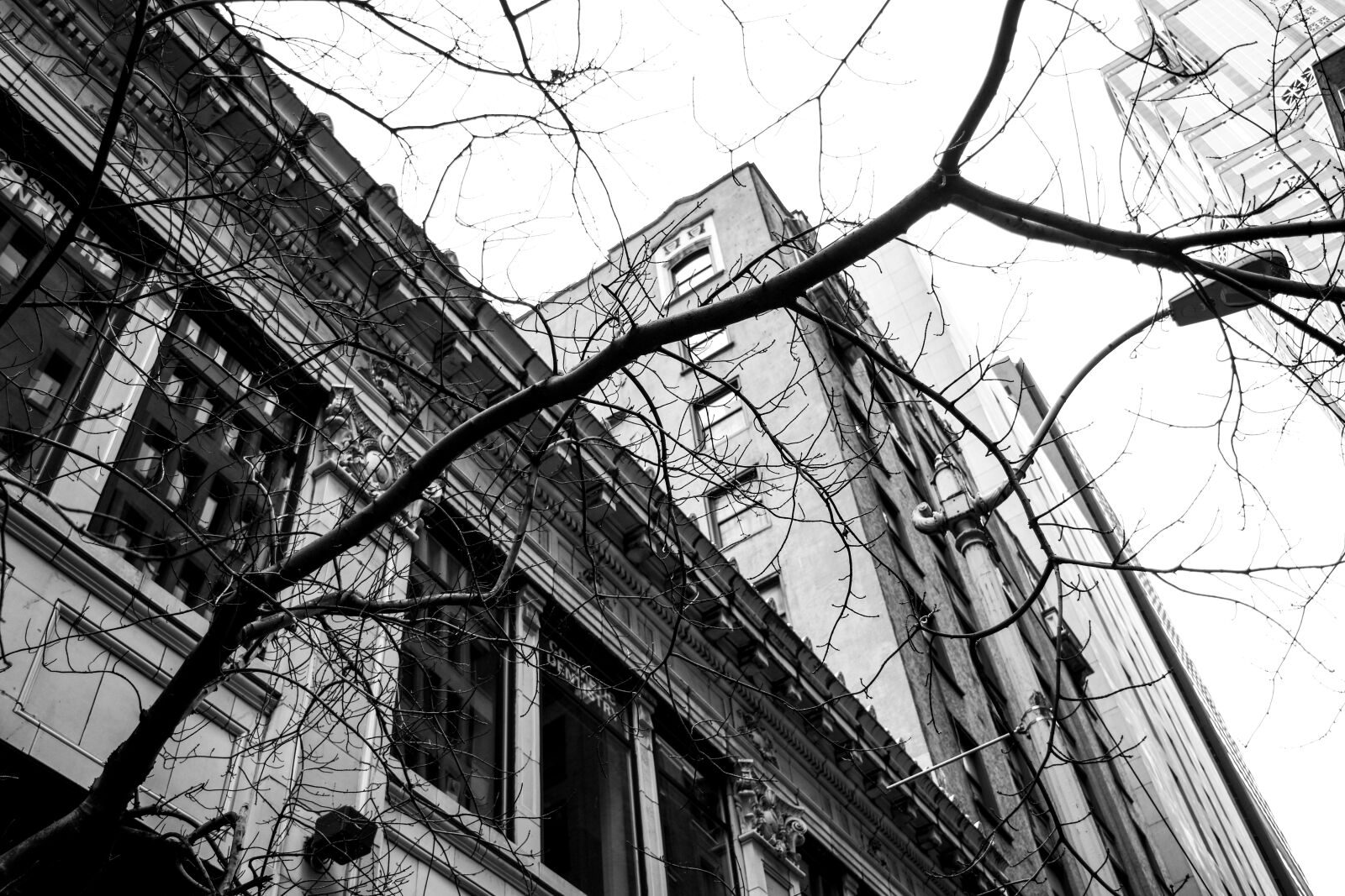 Nikon D7200 sample photo. Architecture, building, window photography