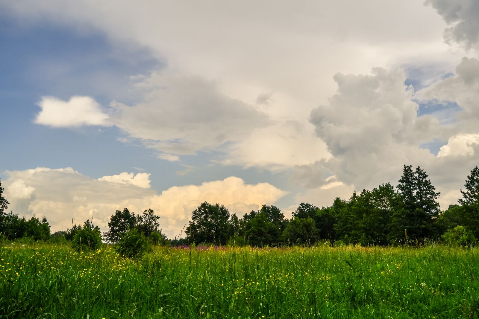Nikon D3100 sample photo. Panoramic, nature, landscape photography
