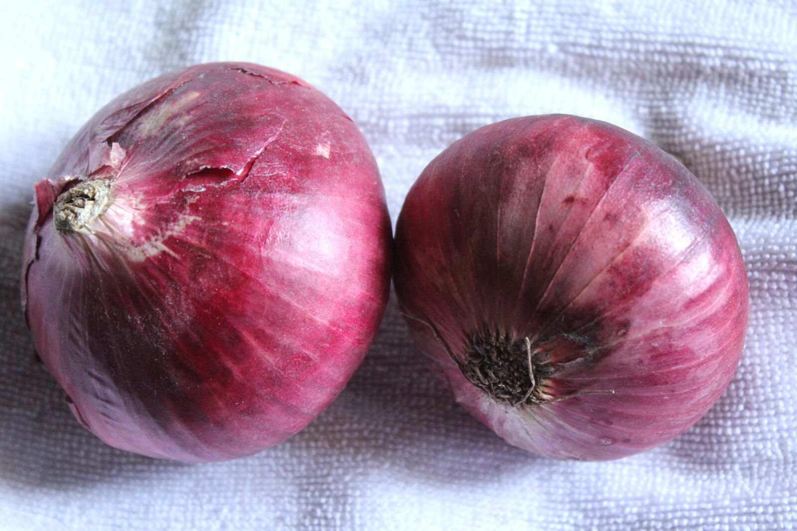 Canon EOS 600D (Rebel EOS T3i / EOS Kiss X5) sample photo. Onion, vegetable, food, nutrition photography