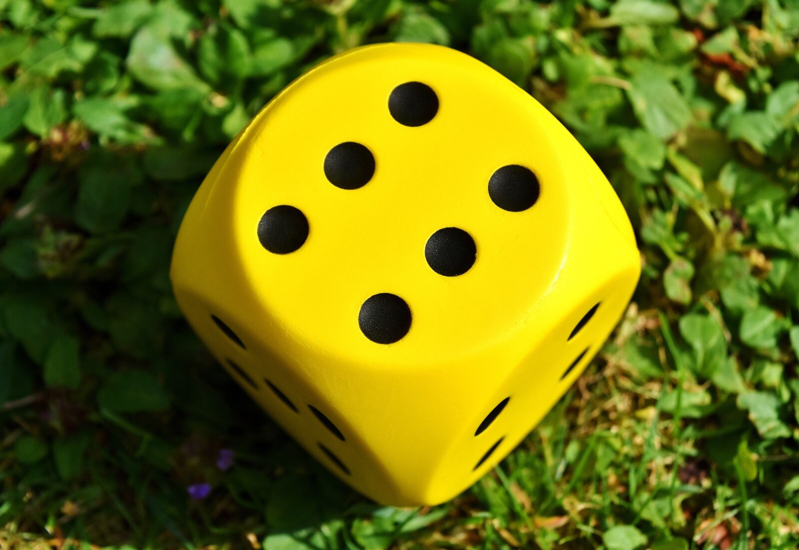 Nikon D7200 sample photo. Cube, play, yellow photography