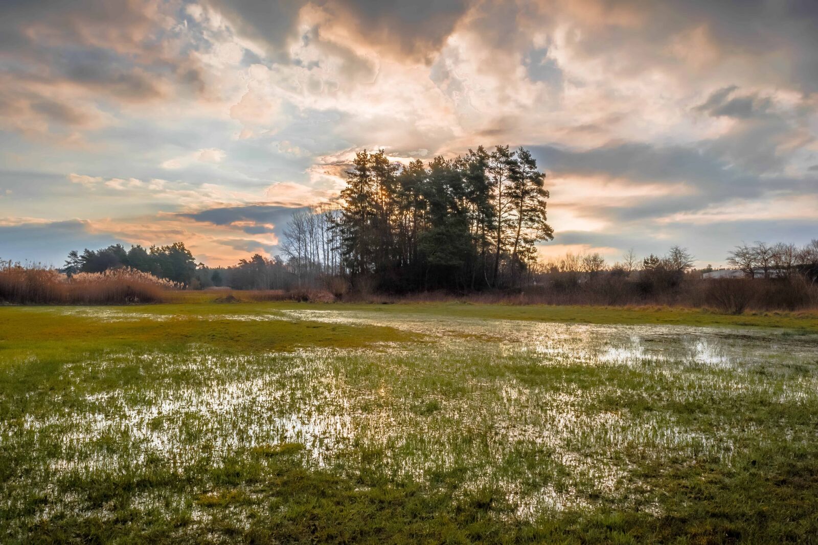 Nikon D3300 sample photo. Swamp, landscape, nature, dawn photography