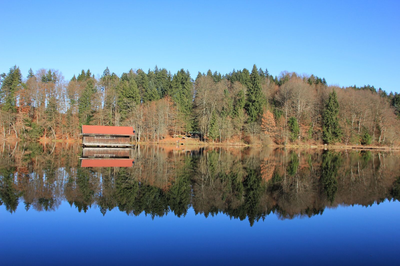 Canon EOS 550D (EOS Rebel T2i / EOS Kiss X4) sample photo. Reflection, lake, nature photography