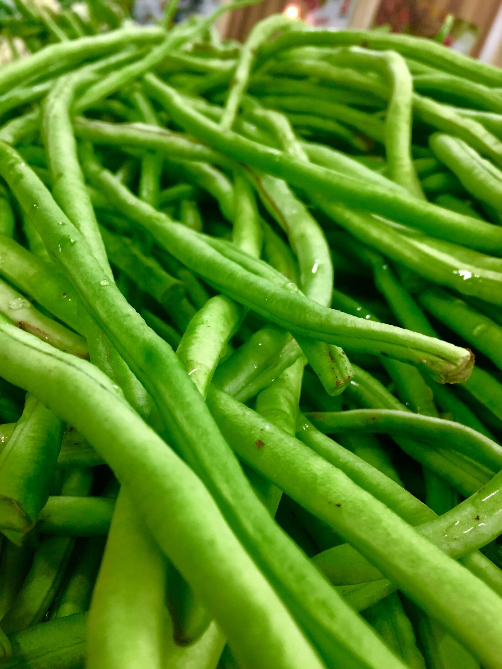 iPhone 6 back camera 4.15mm f/2.2 sample photo. Green, long, nature photography