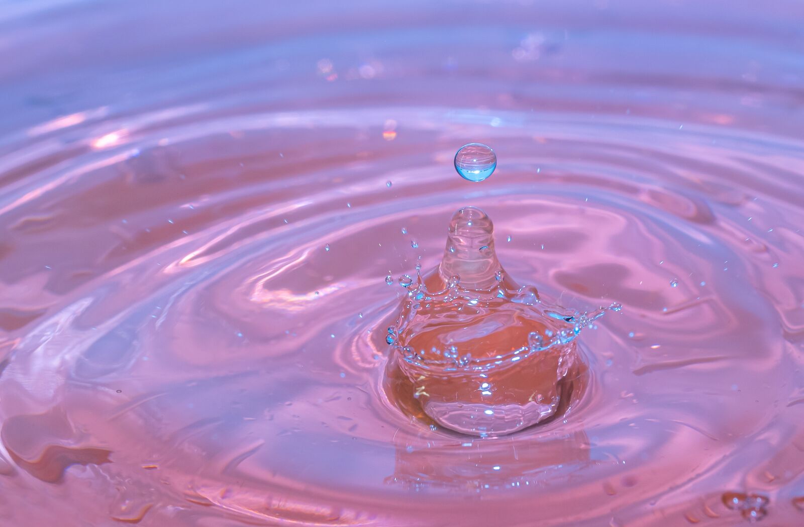Canon EF-S 60mm F2.8 Macro USM sample photo. Splash, drop of water photography