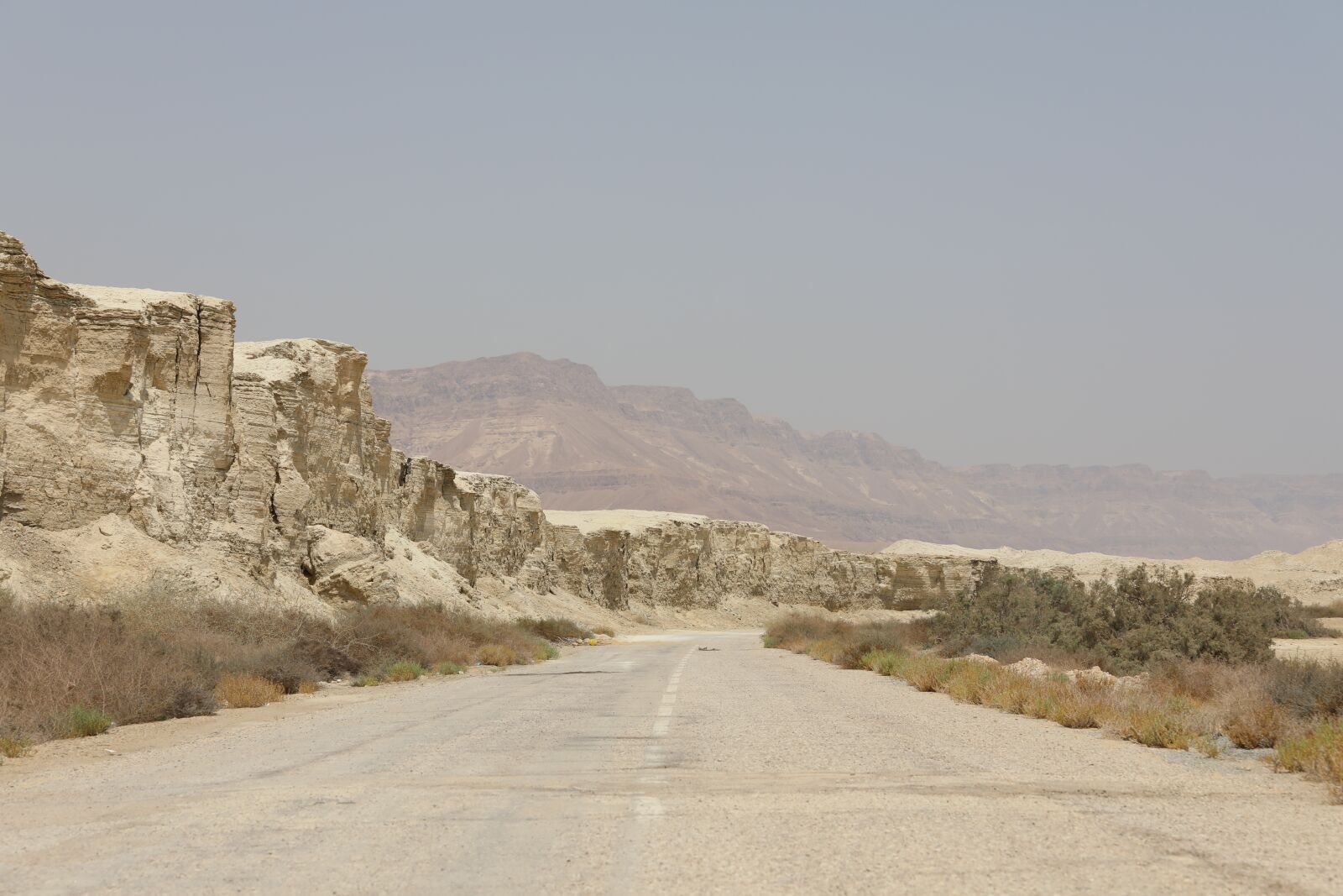 Canon EOS 5D Mark IV + Canon EF 70-200mm F2.8L USM sample photo. Israel, dead sea, nature photography