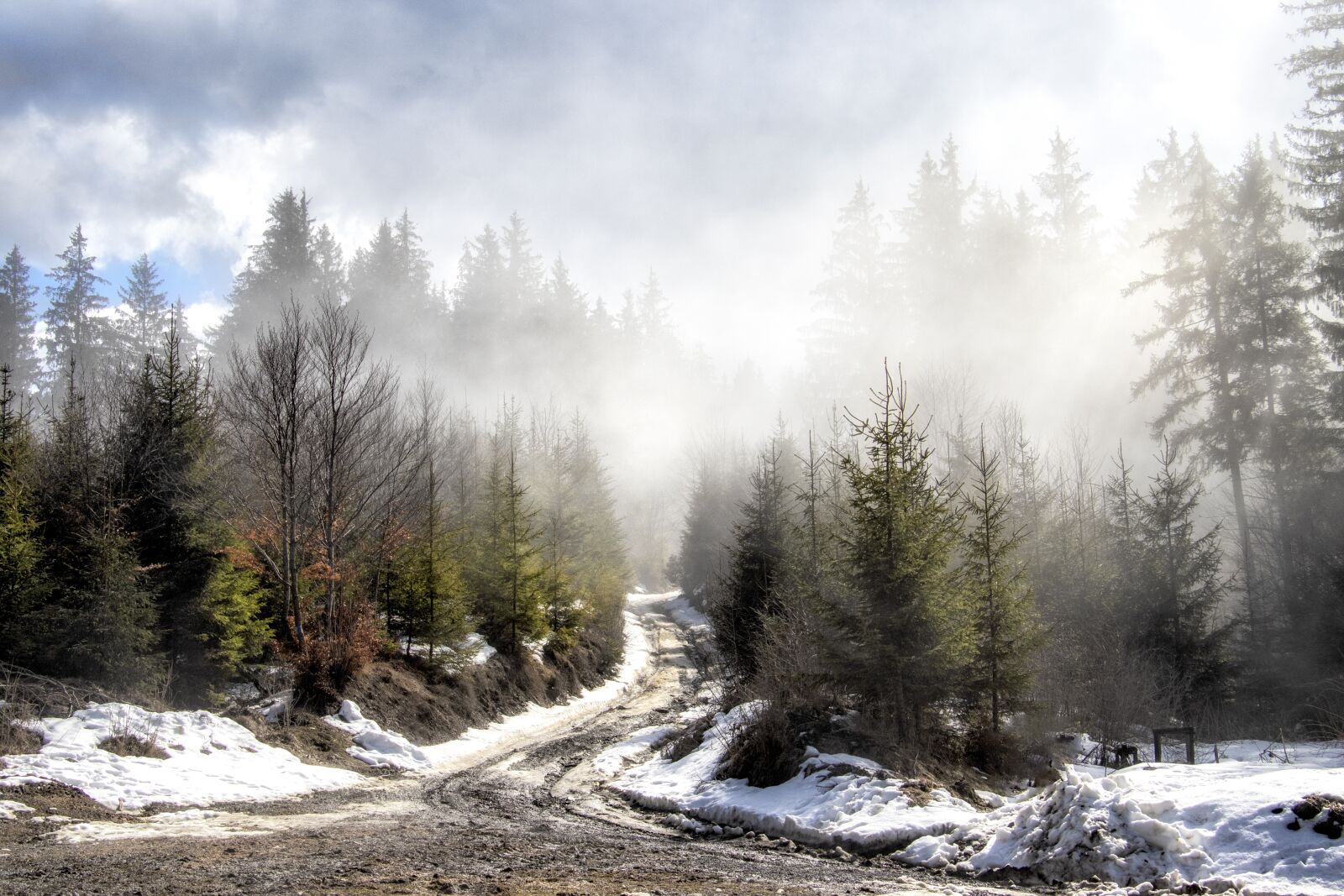 Canon EF-S 18-135mm F3.5-5.6 IS USM sample photo. Transylvania, fog, rumania photography
