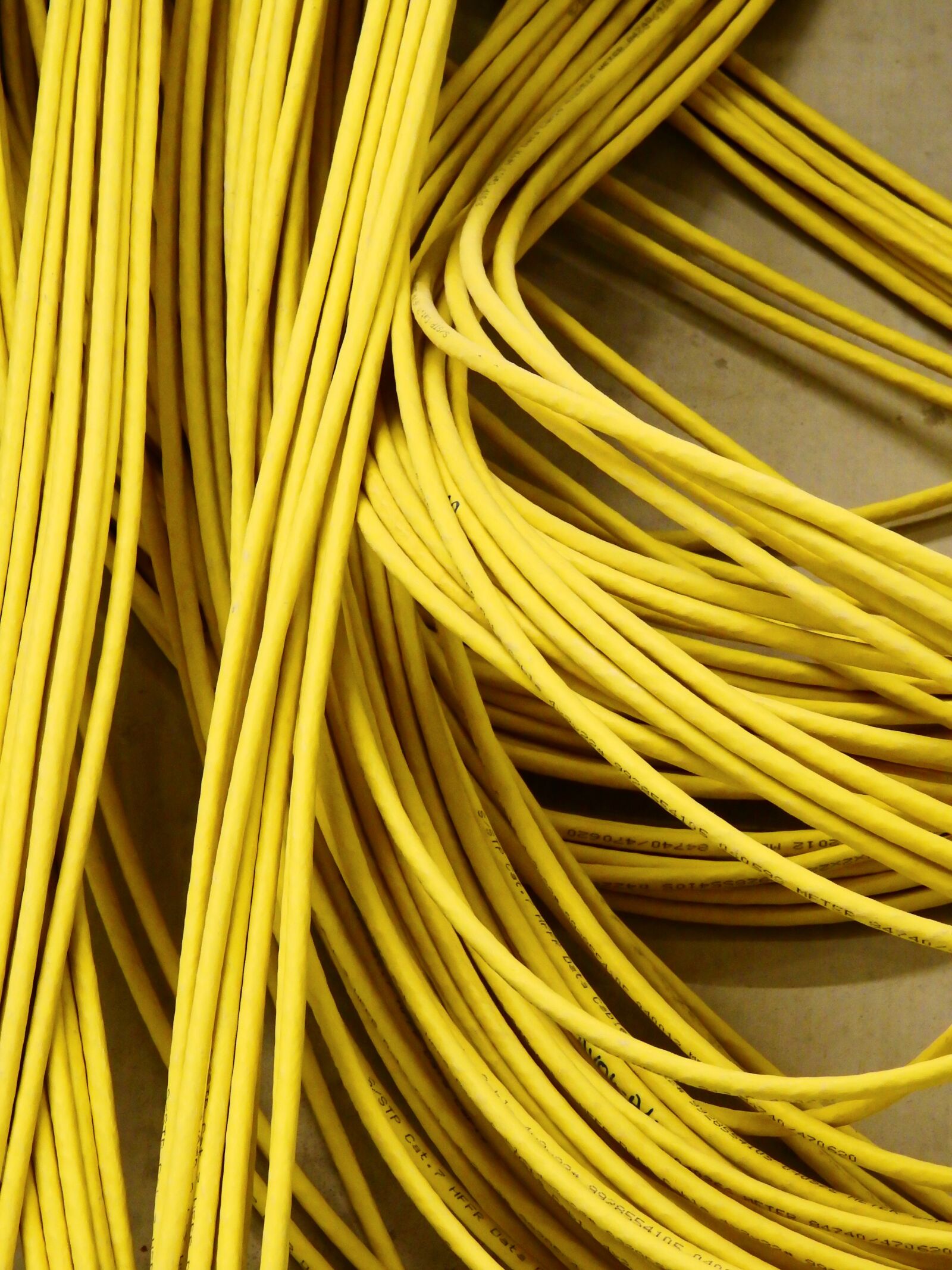 Nikon Coolpix P900 sample photo. Line, cable, technology photography