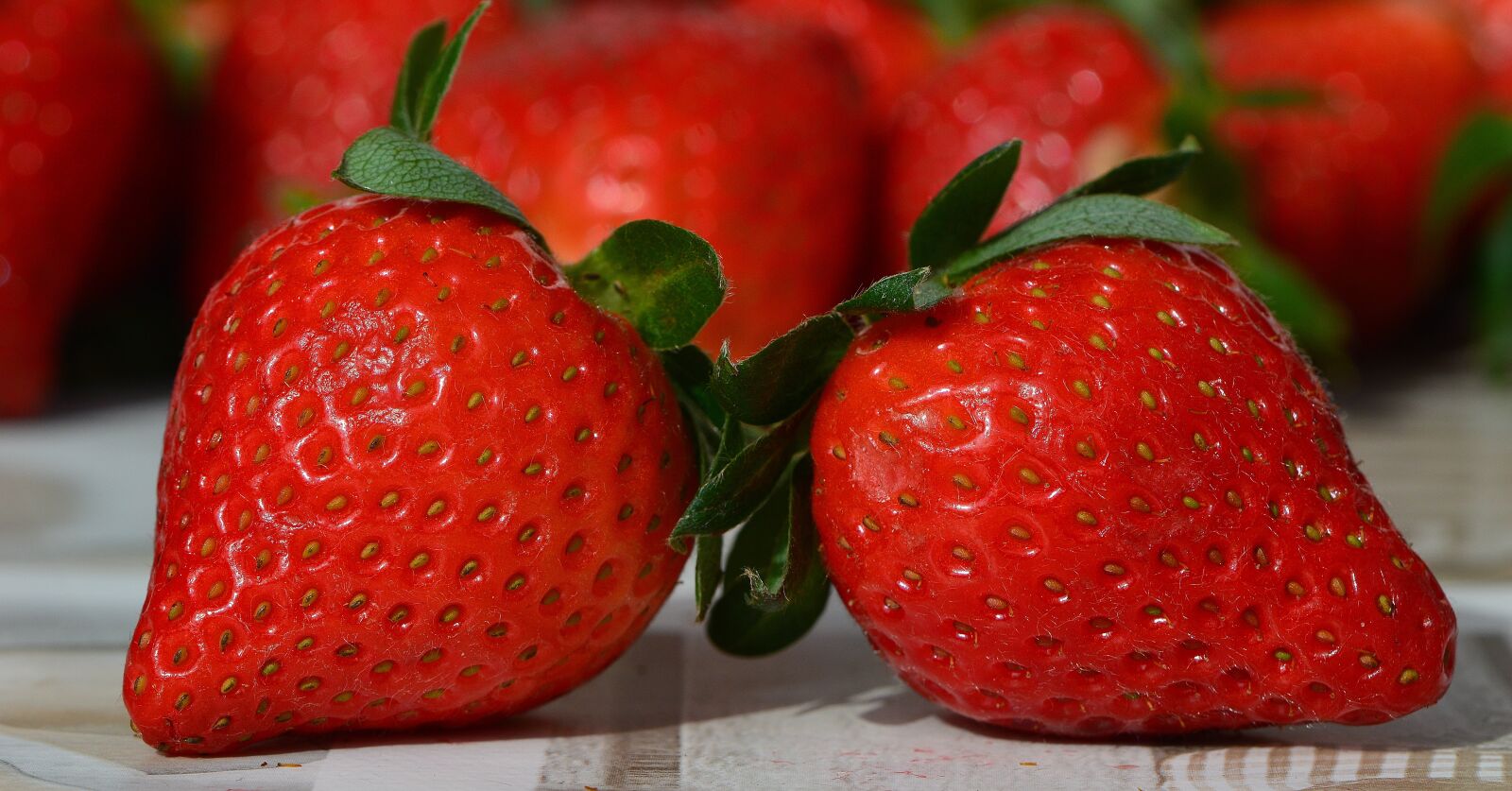 Nikon D3200 sample photo. Strawberries, fruit, close up photography