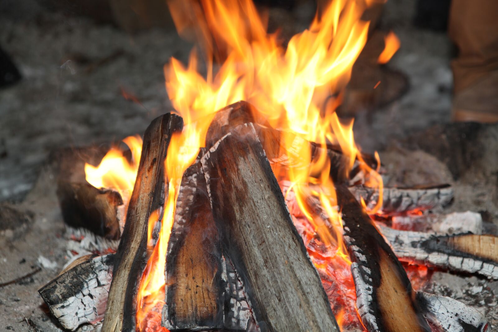 Canon EOS 5D Mark II sample photo. Fire, wood, fireplace photography