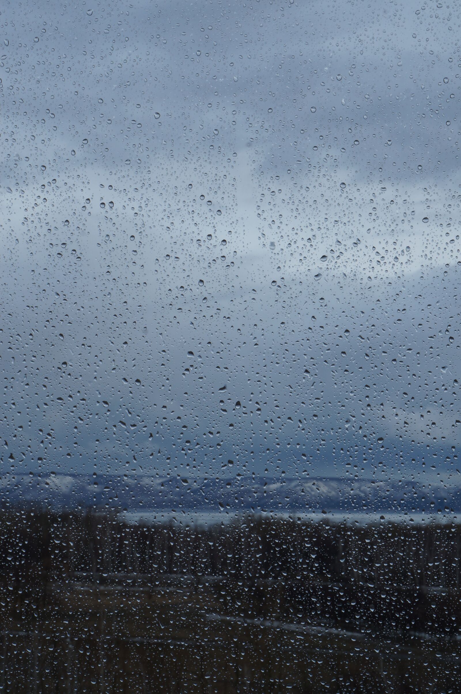 Sony Alpha NEX-F3 + Sony E 18-55mm F3.5-5.6 OSS sample photo. Rain, window, autumn photography