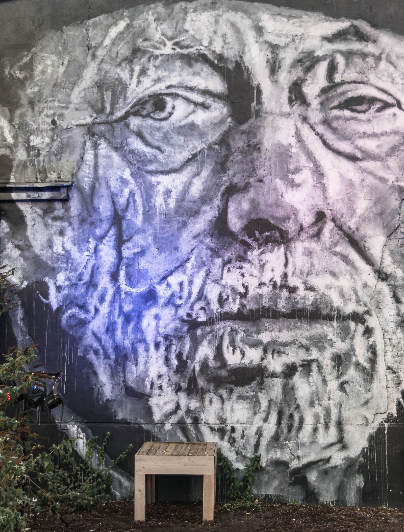 Nikon D3300 sample photo. Man, urban art, face photography