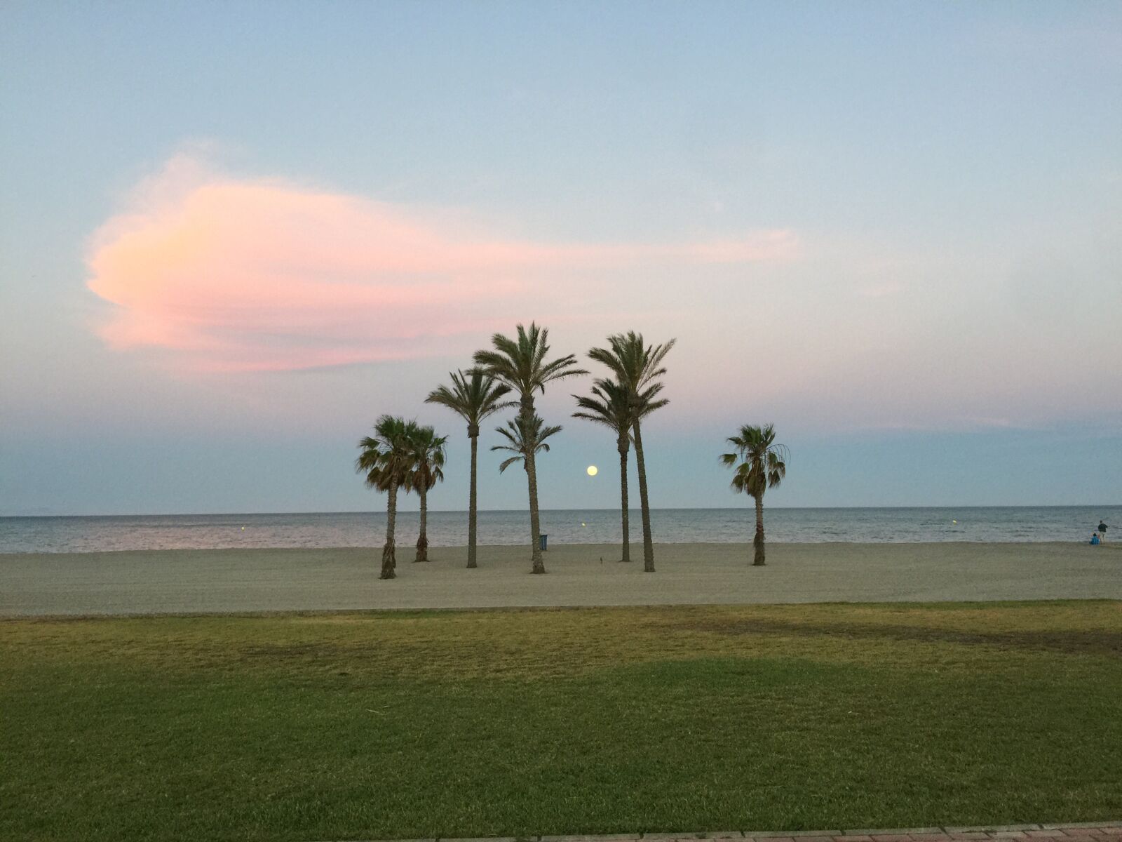 iPhone 6 Plus back camera 4.15mm f/2.2 sample photo. Beach, palms, summer photography