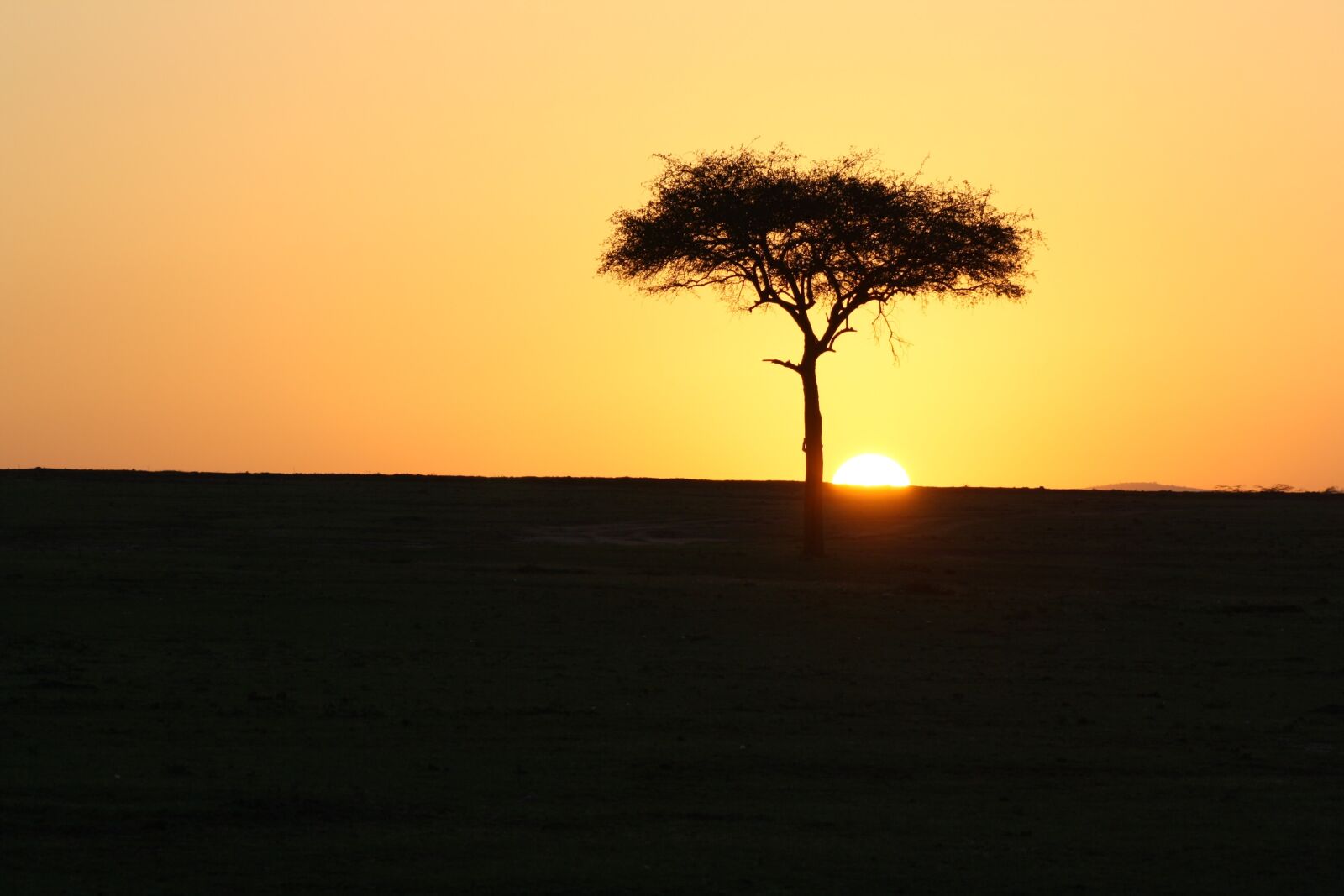 Canon EOS 1000D (EOS Digital Rebel XS / EOS Kiss F) sample photo. Masai mara, kenya, sunset photography