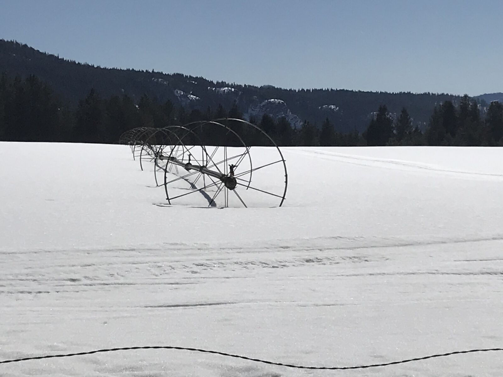 iPhone 7 back camera 3.99mm f/1.8 sample photo. Snow, field, winter photography