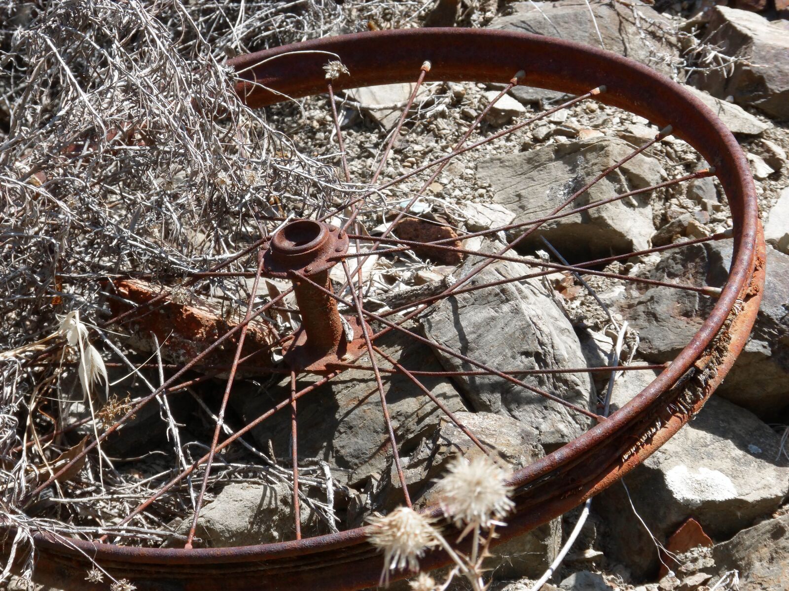 Panasonic DMC-FZ62 sample photo. Bicycle wheel, radios, rusty photography