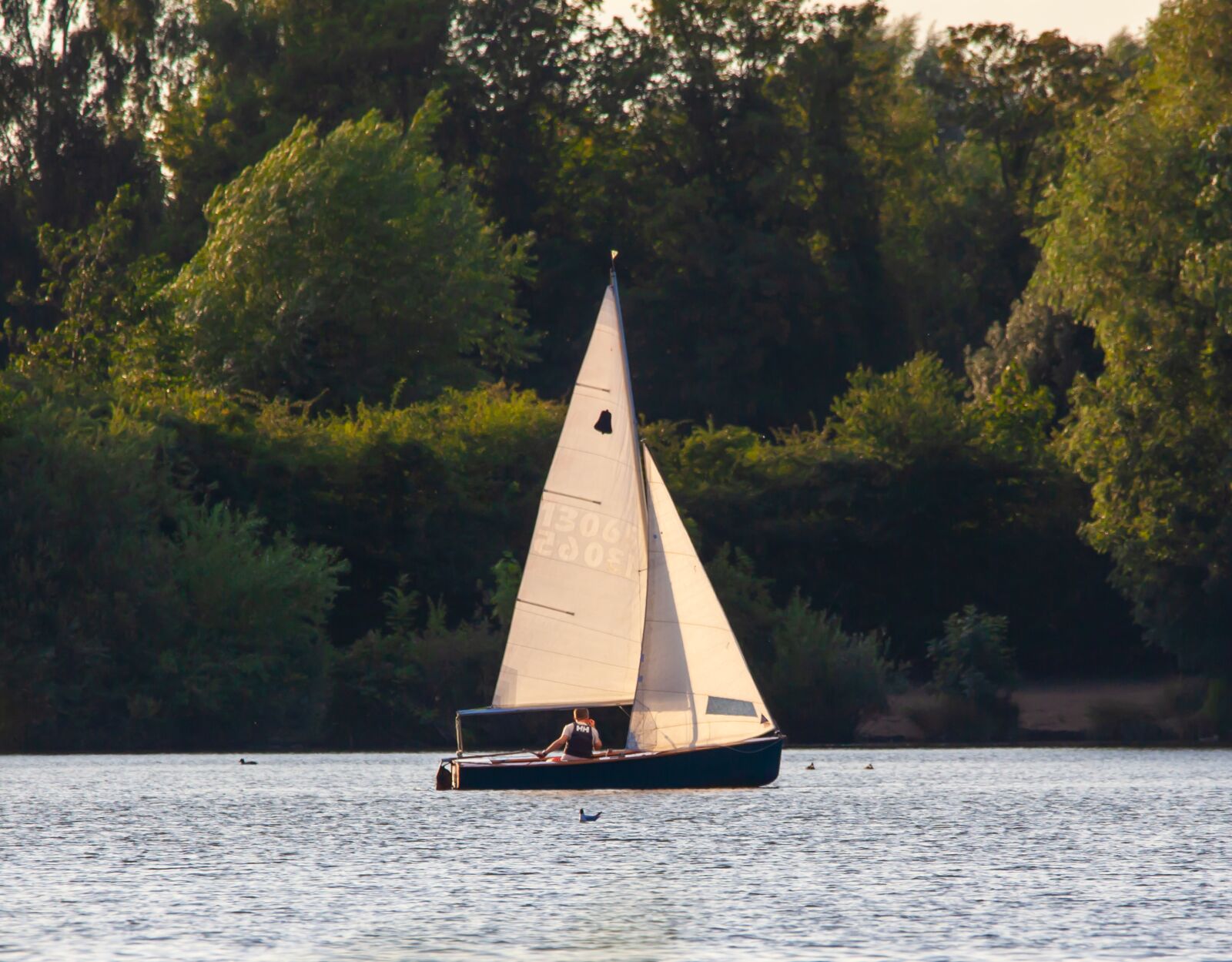 150-600mm F5-6.3 DG OS HSM | Contemporary 015 sample photo. Small boat, single crew photography