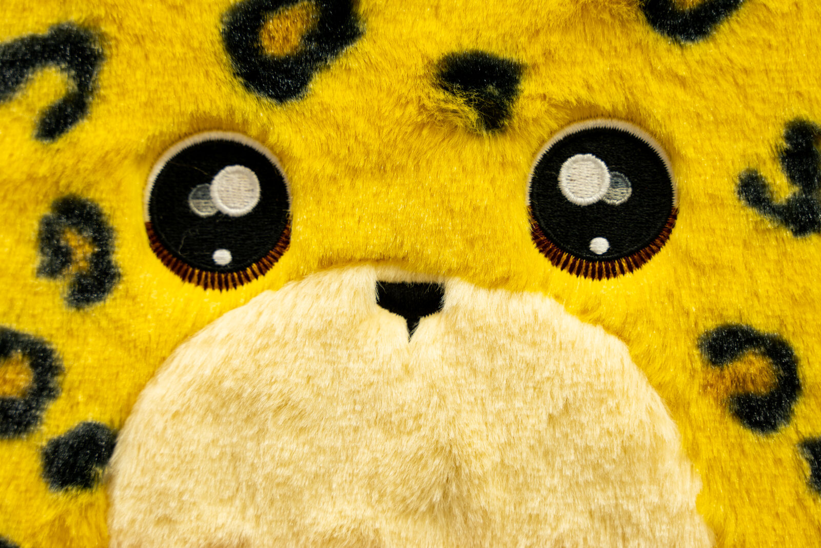 Nikon Nikkor Z 28-75mm F2.8 sample photo. Furry stare photography