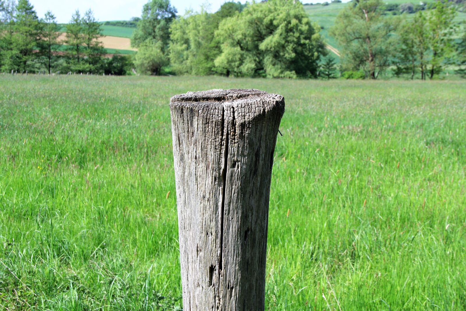 Canon EF-S 18-135mm F3.5-5.6 IS sample photo. Pile, wood pile, wood photography