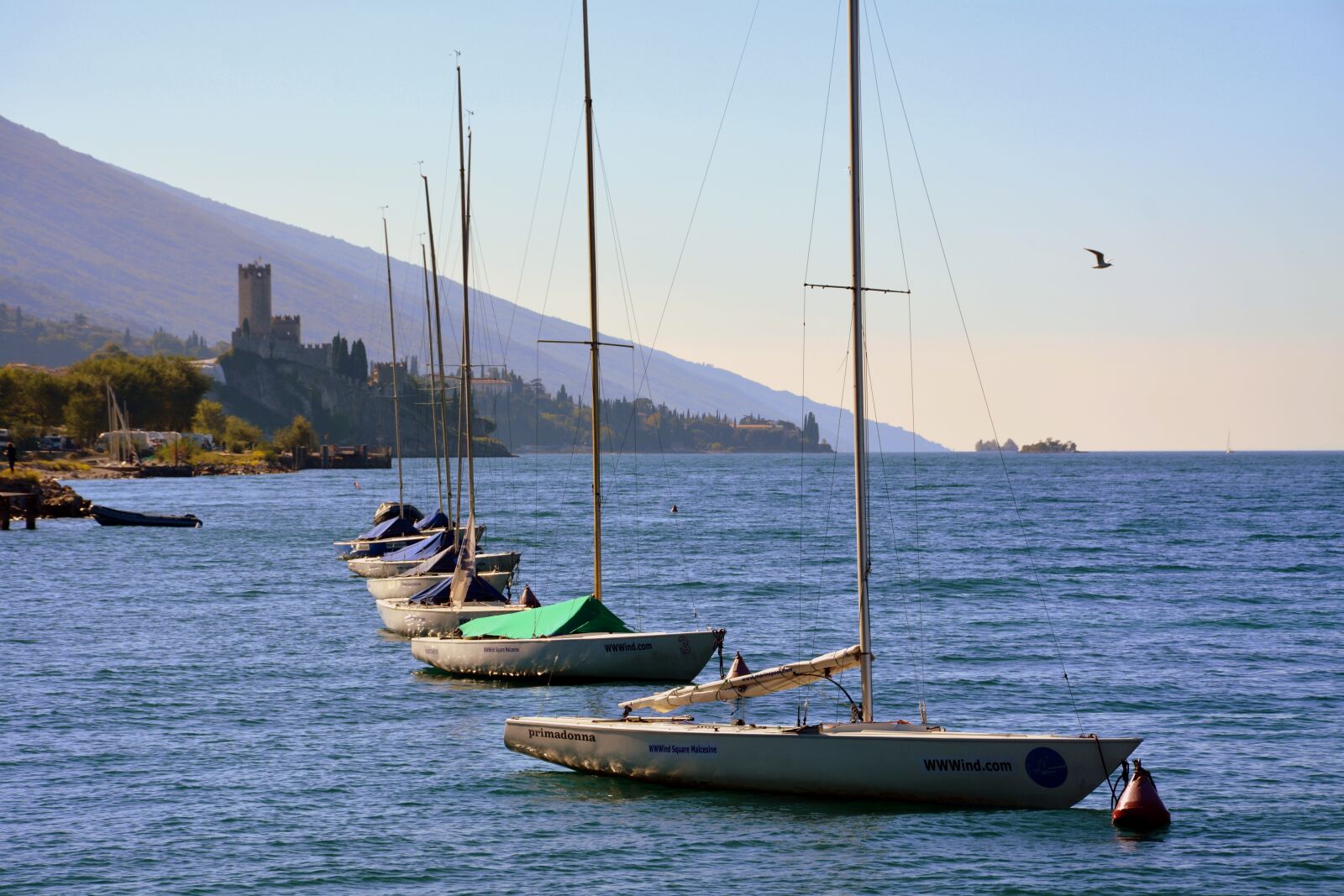 Nikon D7100 sample photo. Row, boat, lake photography