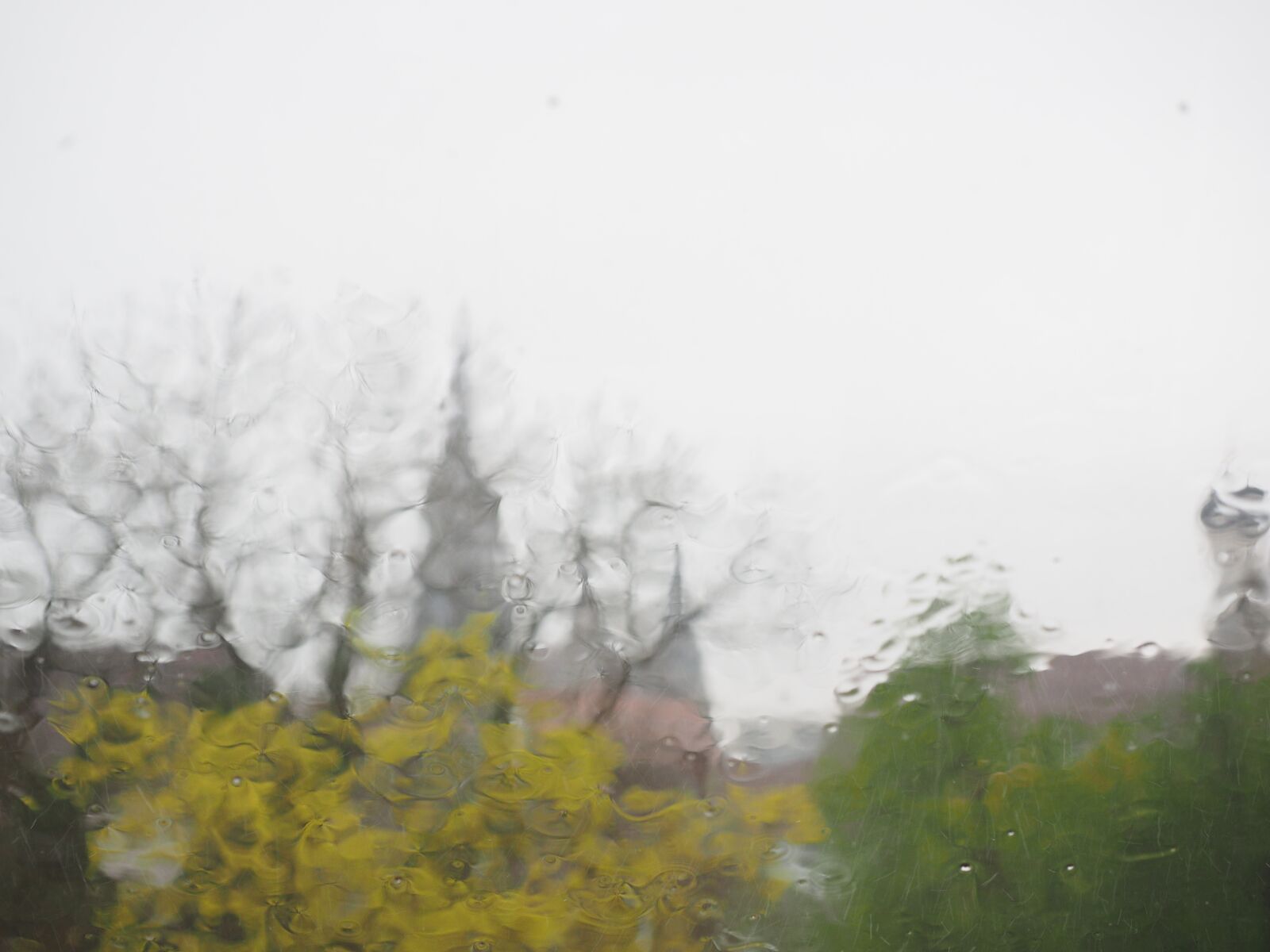 Olympus OM-D E-M1 + Olympus M.Zuiko Digital ED 12-40mm F2.8 Pro sample photo. Rainy weather, ulm, rain photography