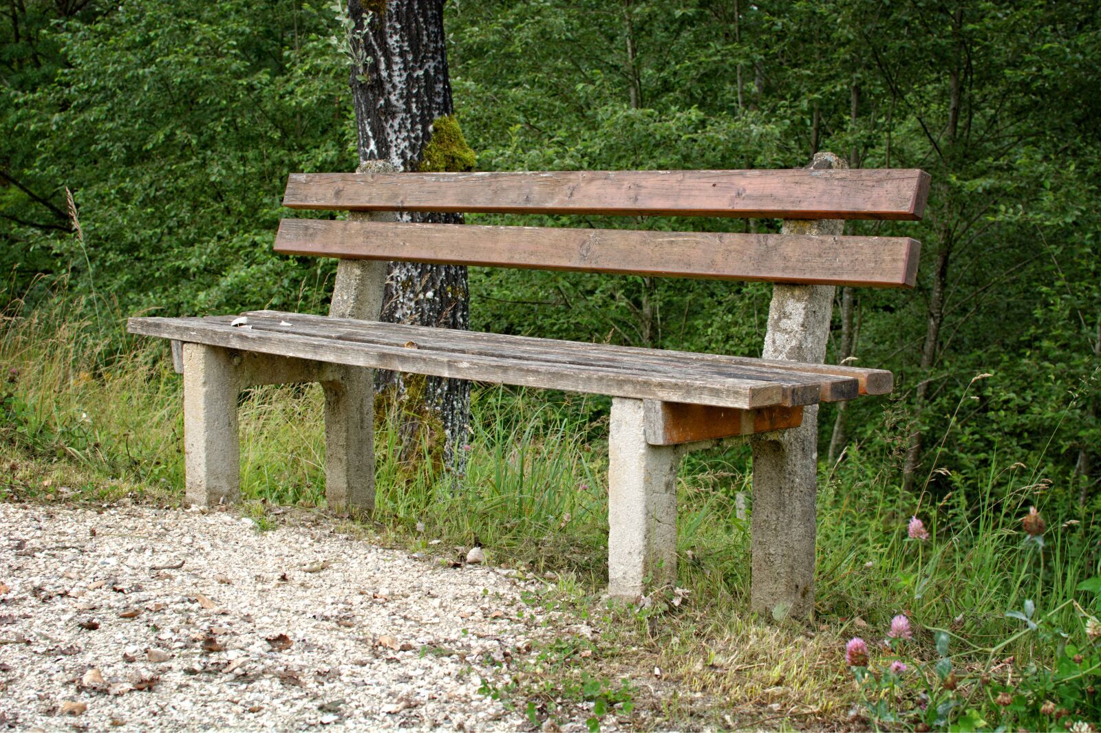 Nikon D7100 sample photo. Bench, sit, bank photography