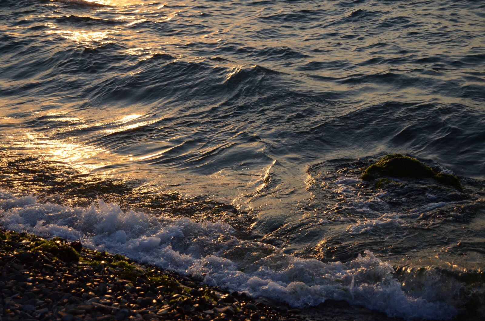Nikon D5100 sample photo. Scholarship, landscape, marine photography