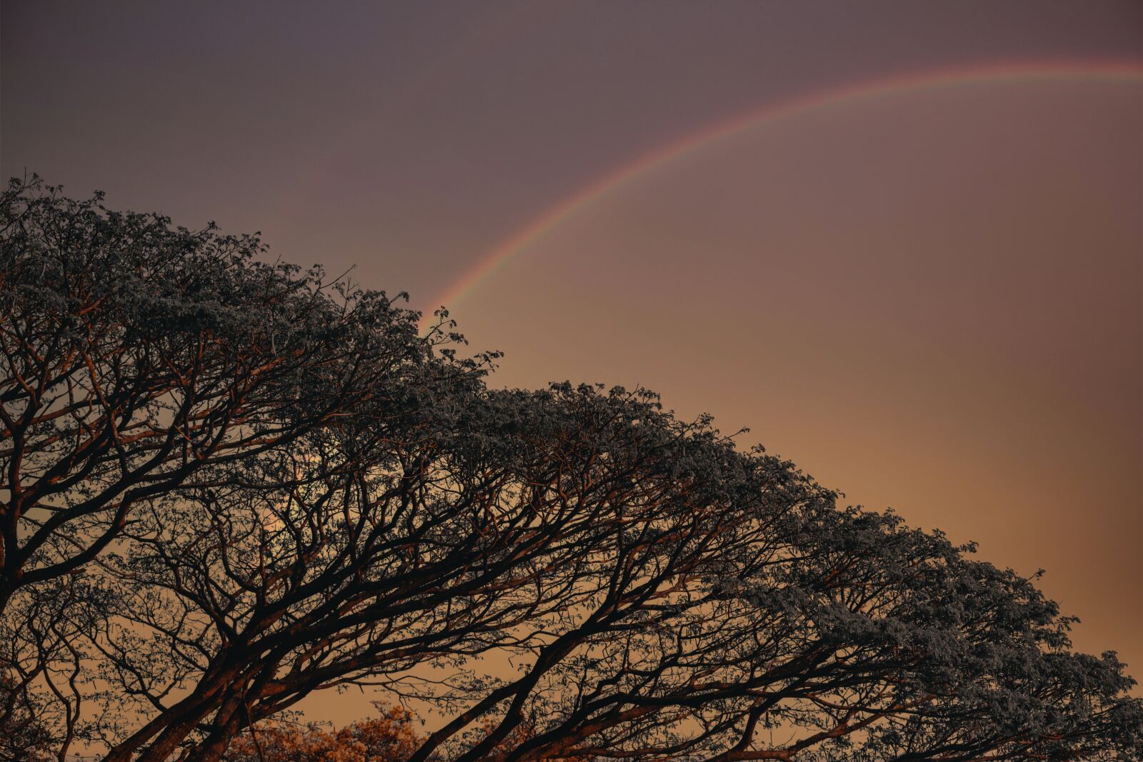 Nikon D5200 sample photo. Rainbow, scenic, tranquil photography