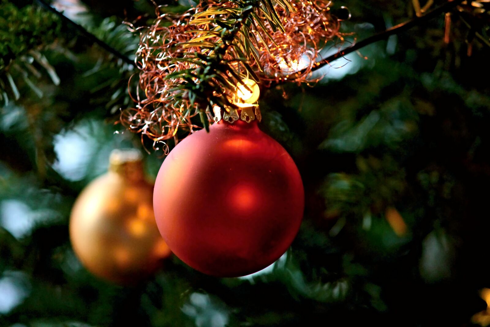 Canon EOS 1100D (EOS Rebel T3 / EOS Kiss X50) sample photo. Christmas balls, tree, christmas photography