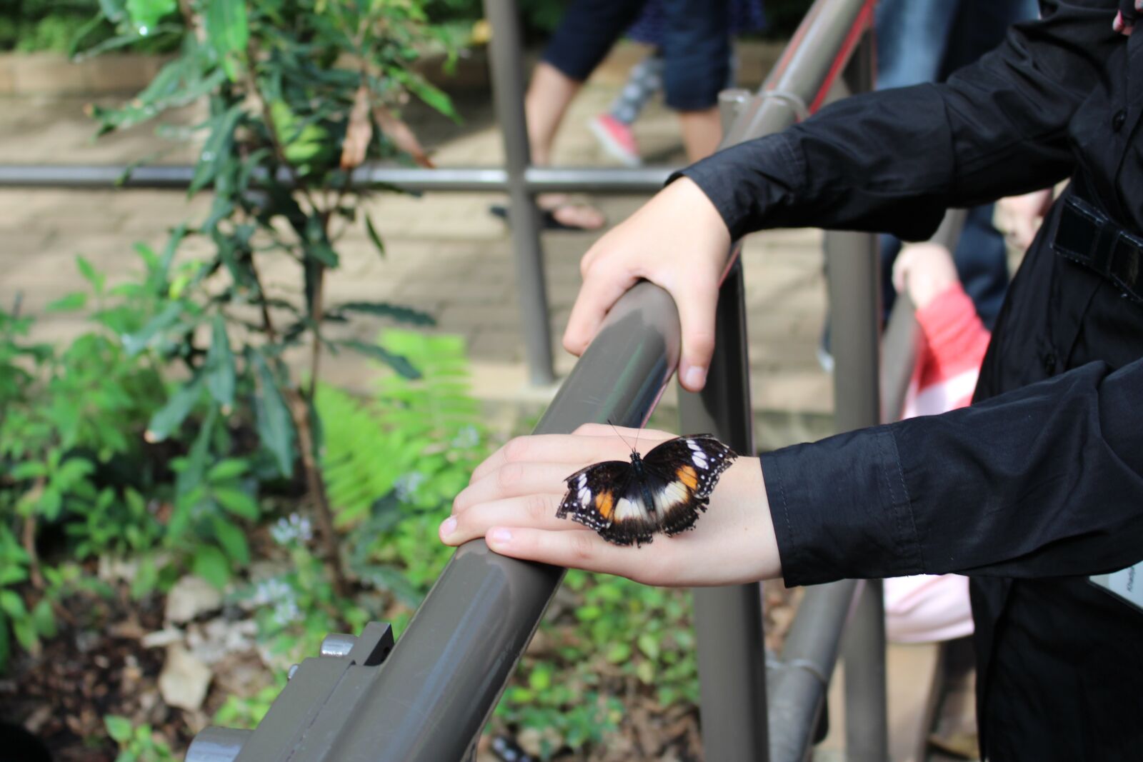 Canon EOS 700D (EOS Rebel T5i / EOS Kiss X7i) sample photo. People, adult, outdoors photography