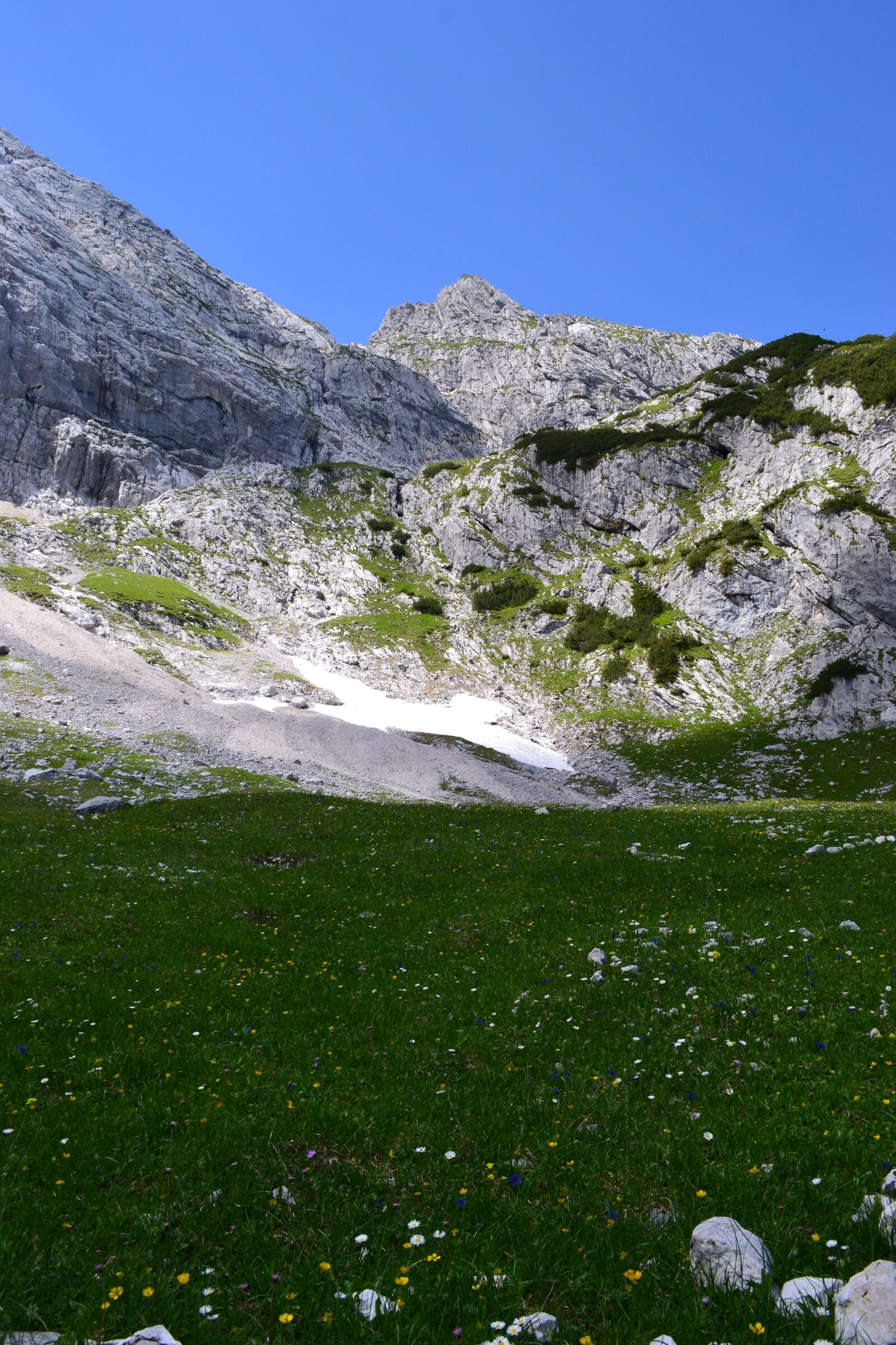Nikon D3100 sample photo. Alpine, alphabet, meadow photography