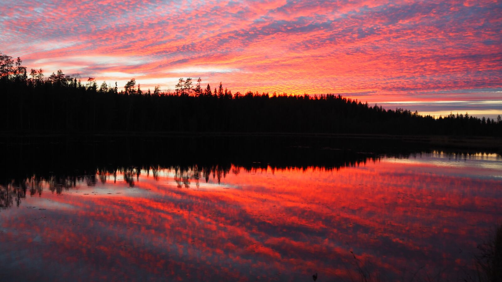 Olympus OM-D E-M10 sample photo. Sunset, autumn, finnish photography