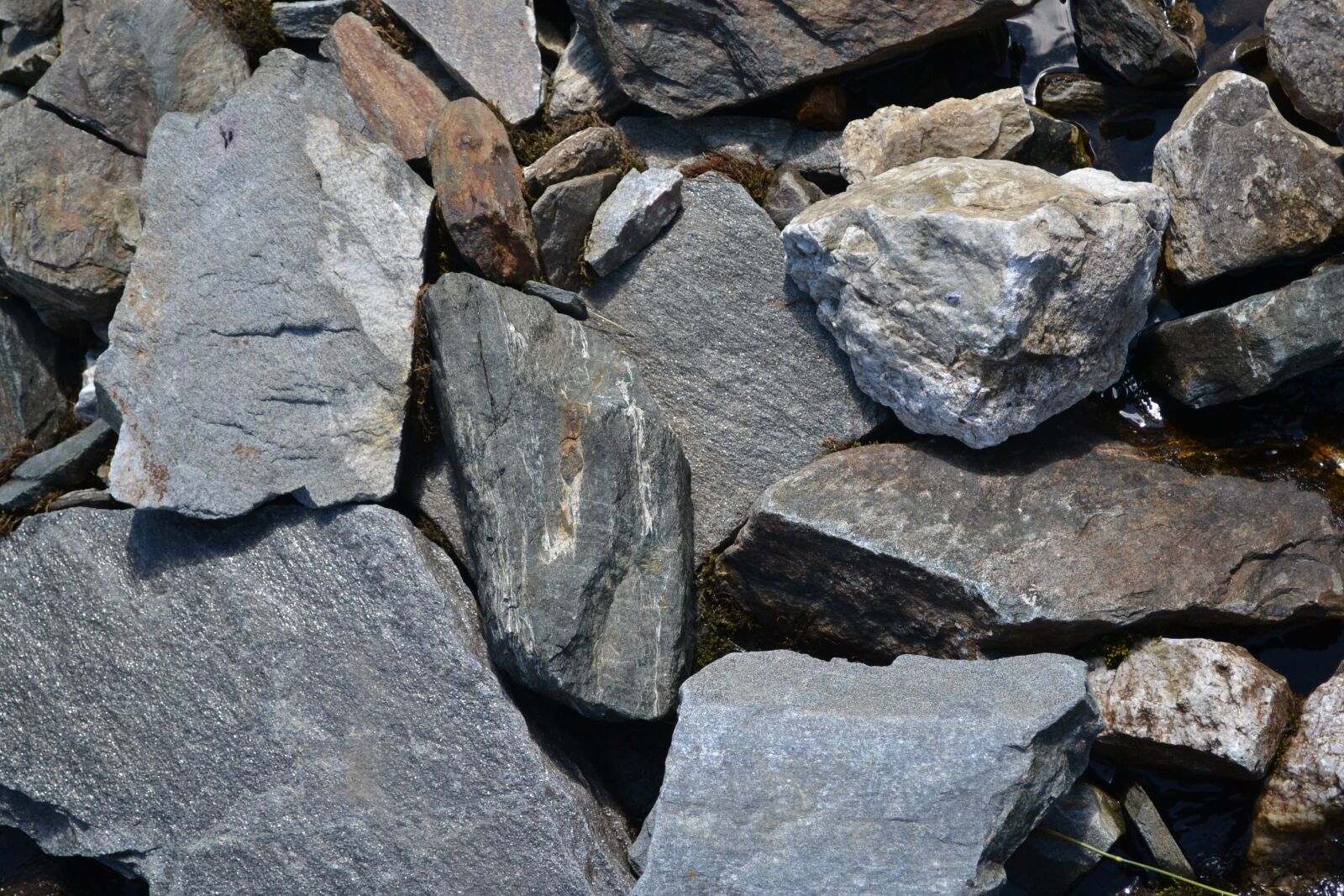 Nikon D3100 sample photo. Rocks, texture, natural photography