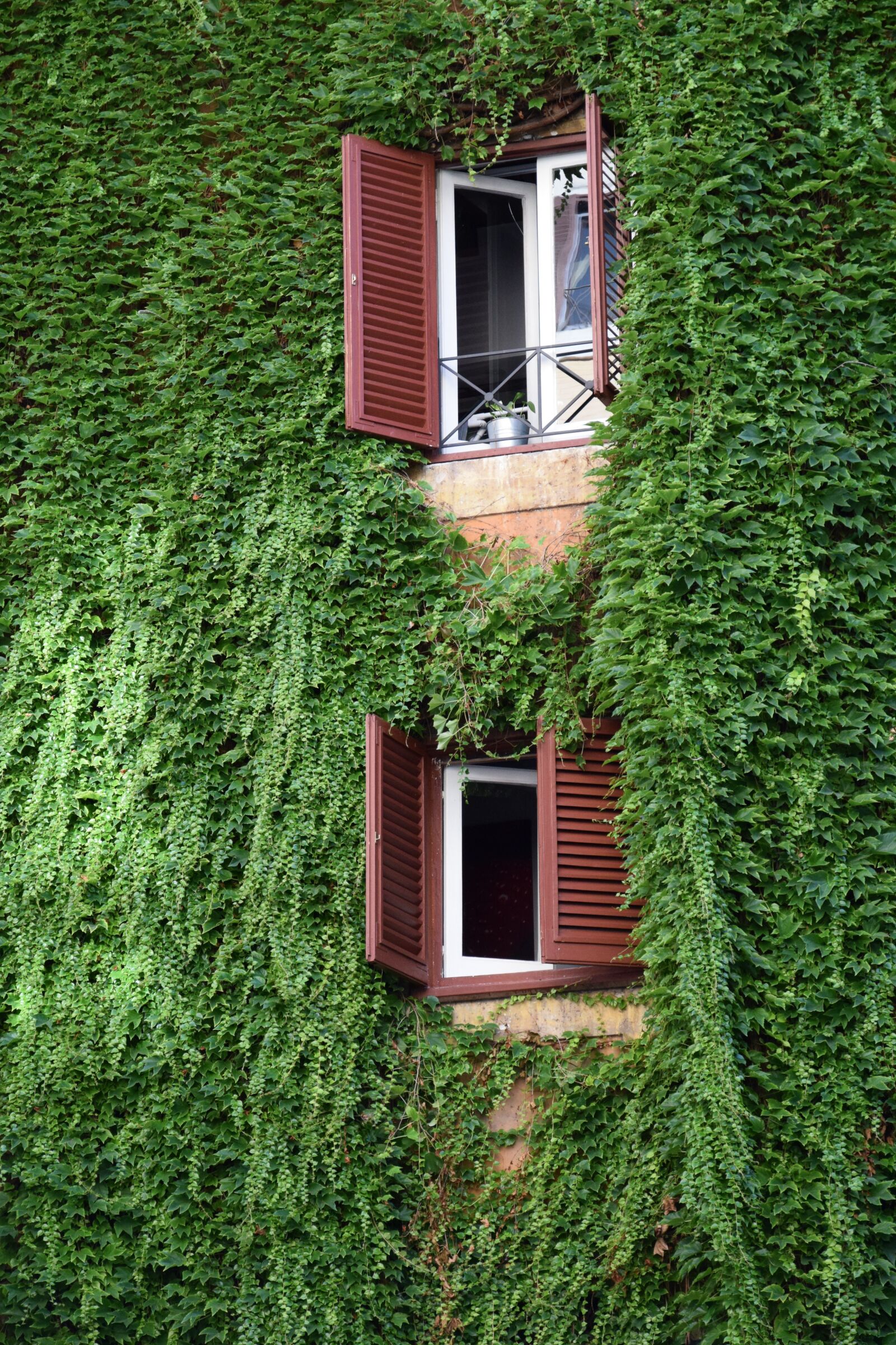 Nikon D3300 sample photo. Italy, summer, windows photography