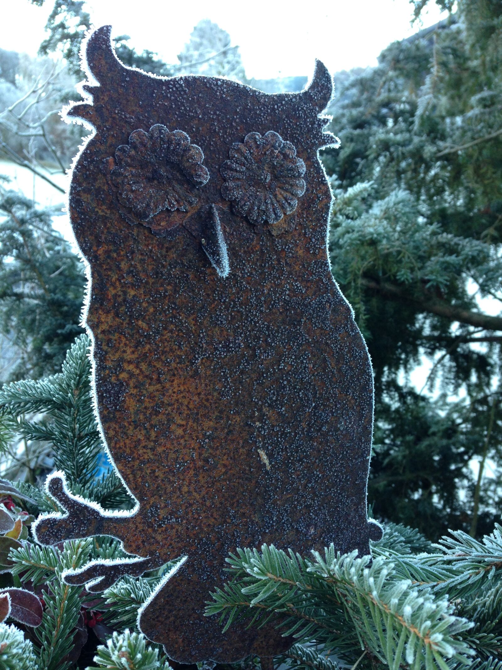 Apple iPhone 5 sample photo. Owl, rust, frozen photography