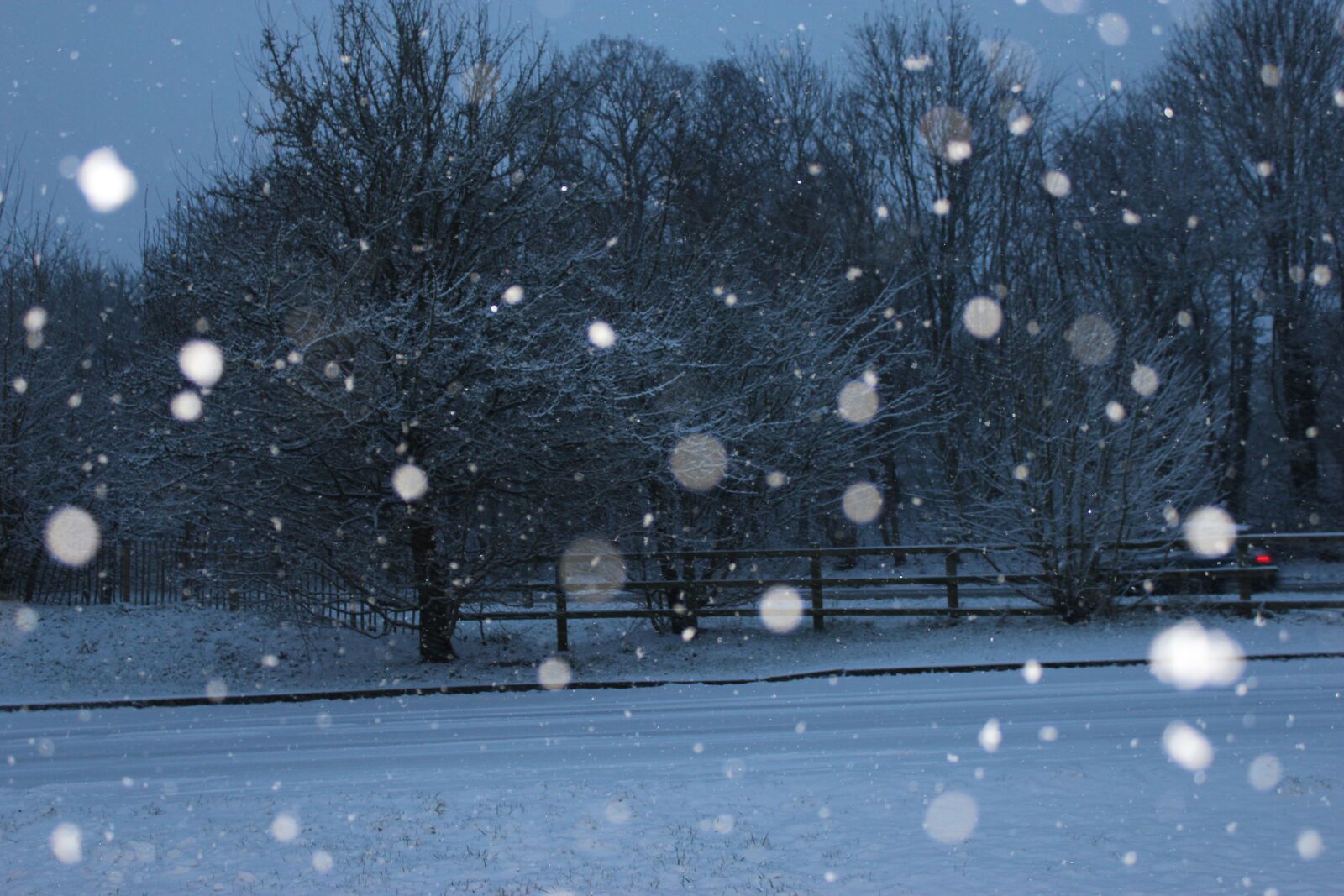 Canon EOS 550D (EOS Rebel T2i / EOS Kiss X4) sample photo. Snow, dark, snow storm photography