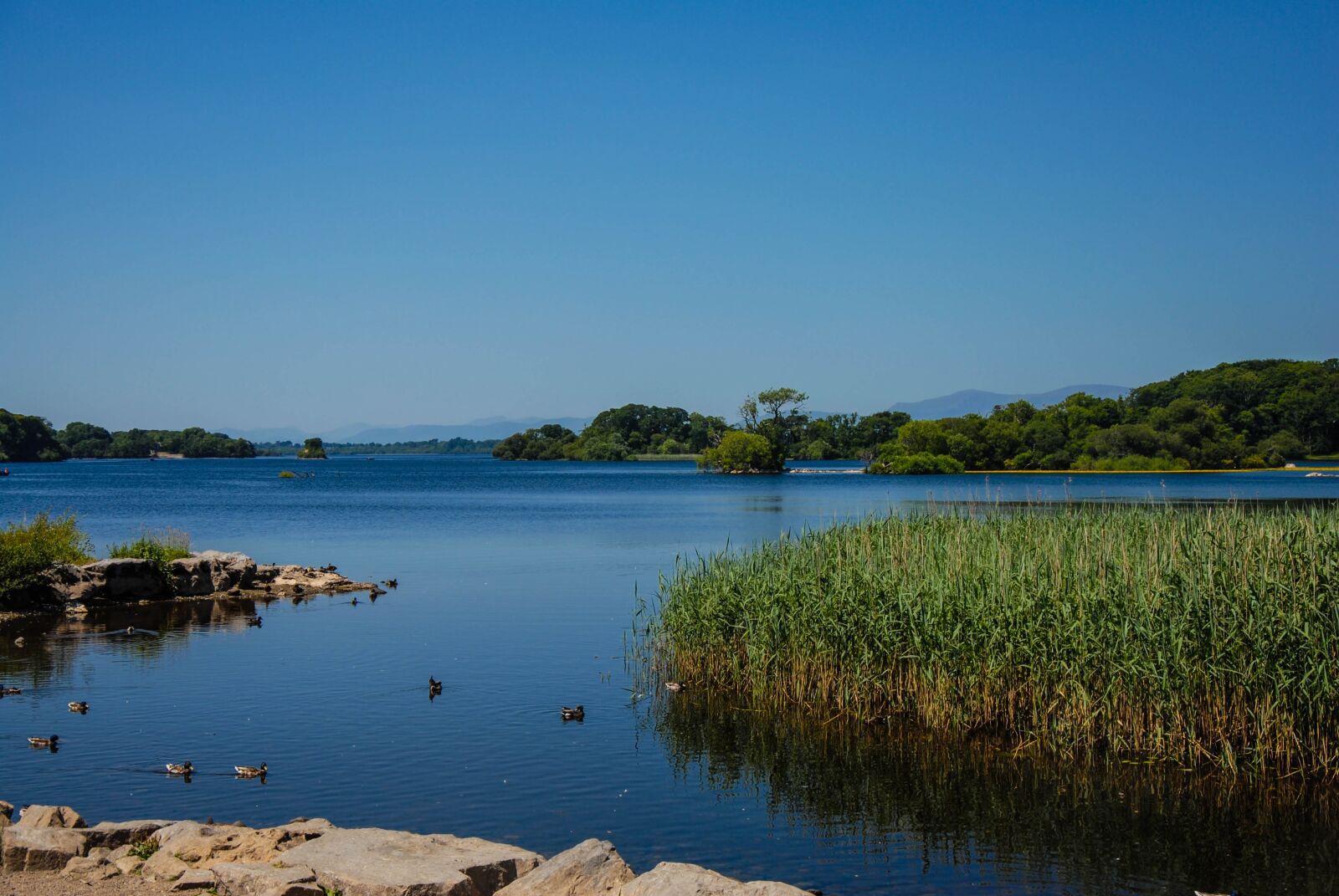 Nikon D200 sample photo. Lake, ireland, castle photography